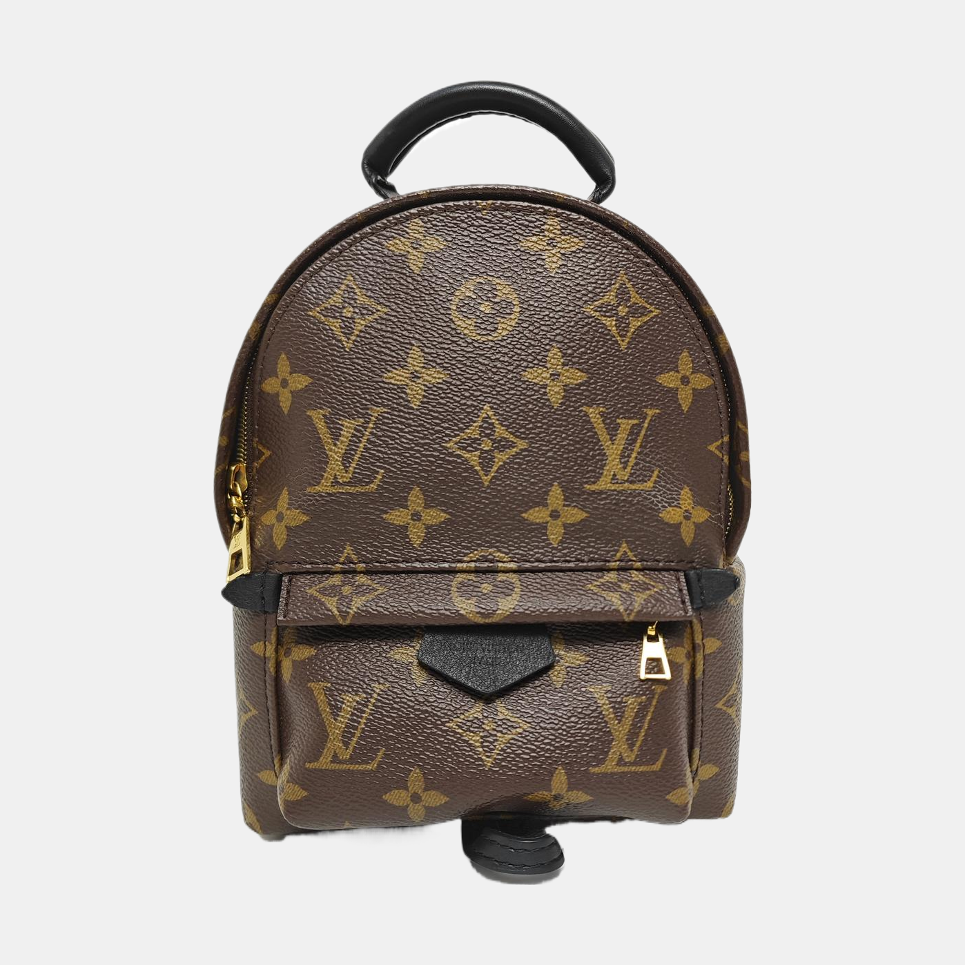 PALM SPRINGS Mini Monogram Coated Canvas Brown