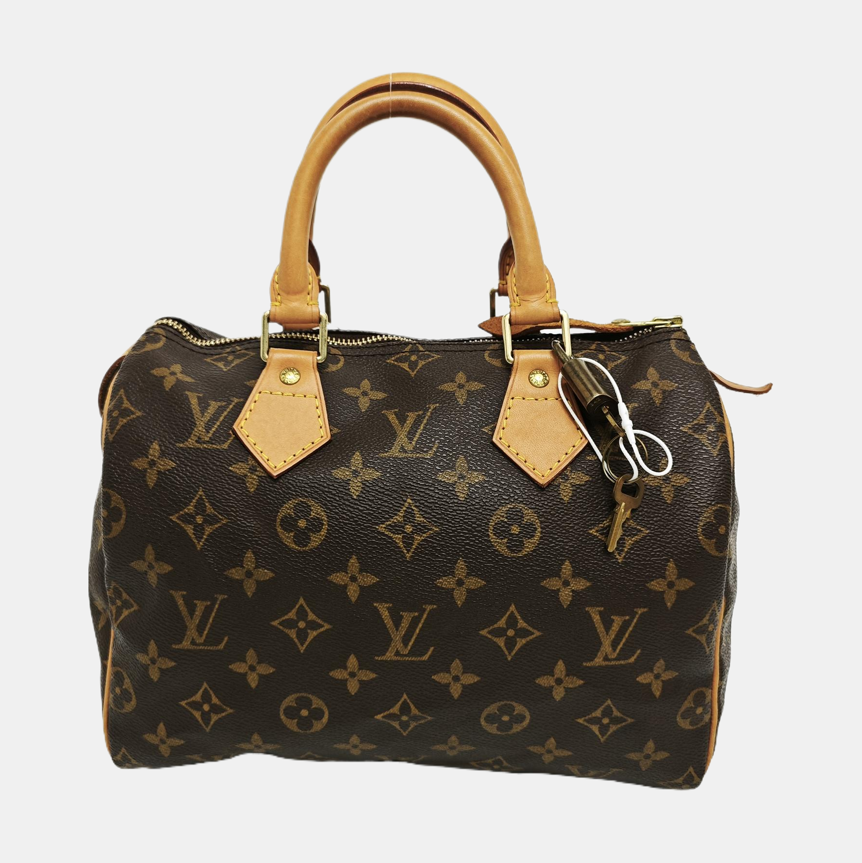 SPEEDY 25 Monogram Coated Canvas Brown