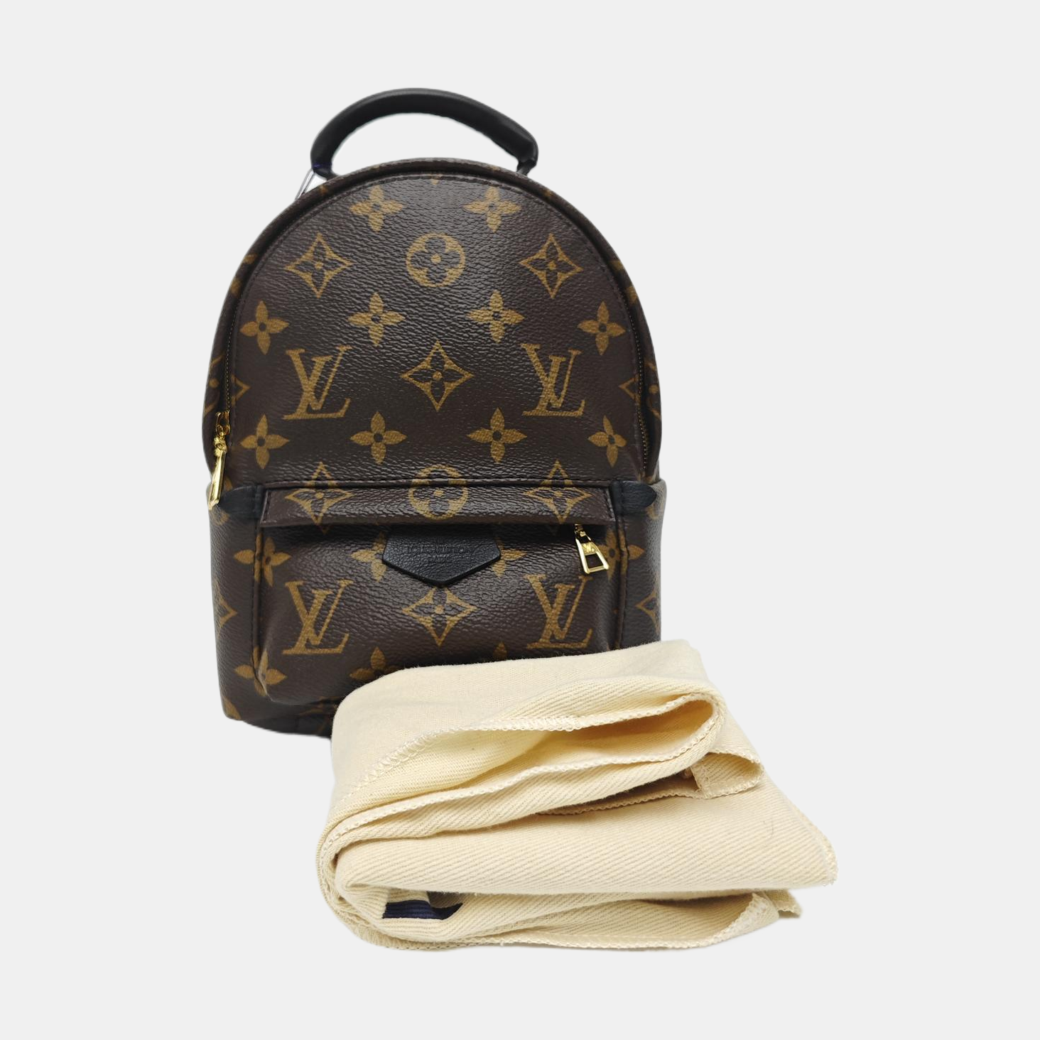 PALM SPRINGS Mini Monogram Coated Canvas Brown