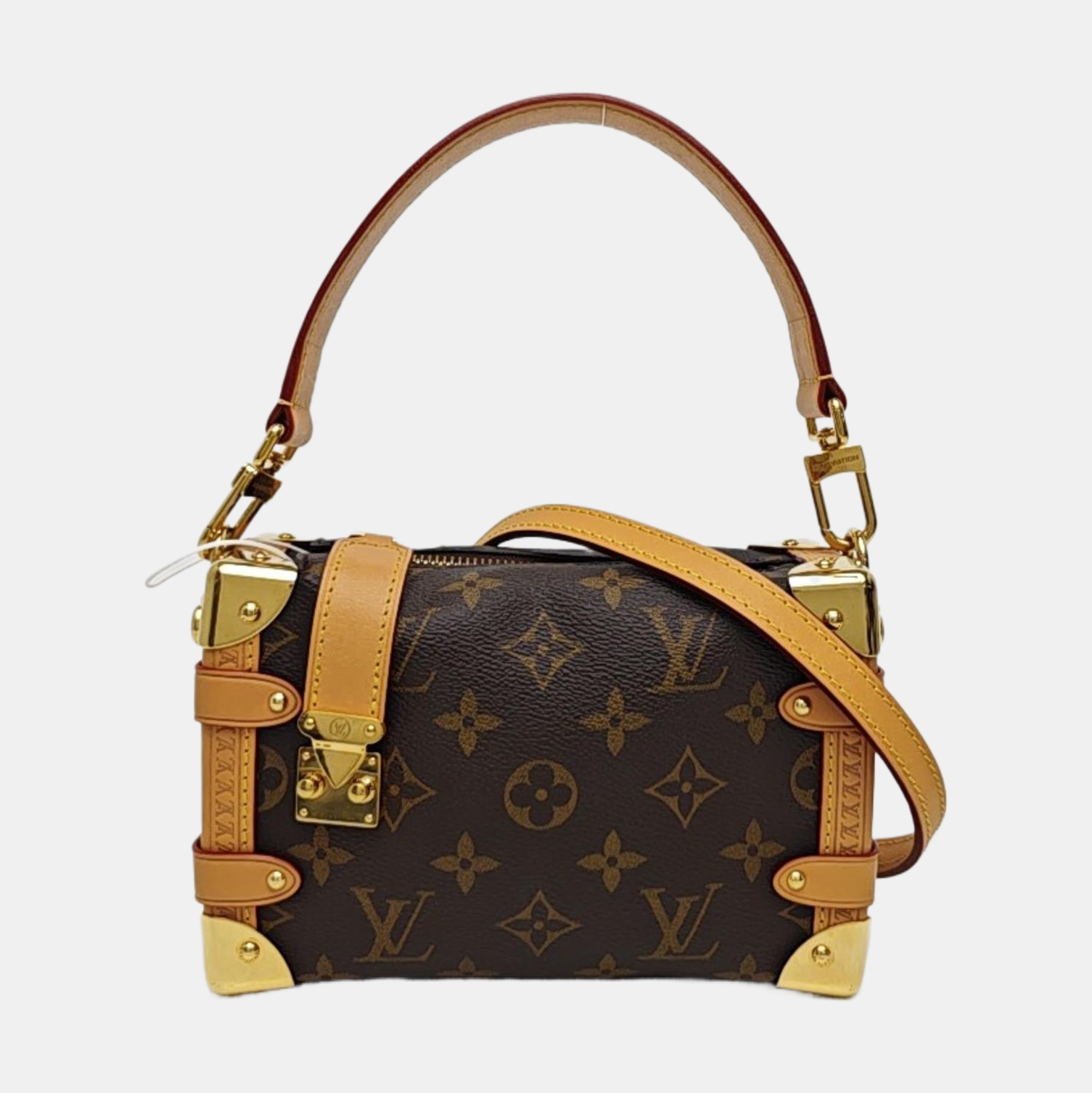 SIDE TRUNK PM Monogram Coated Canvas Brown