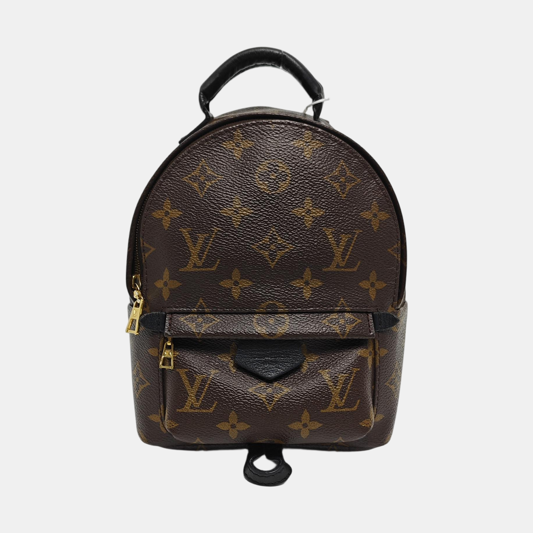 PALM SPRINGS Mini Monogram Coated Canvas Brown