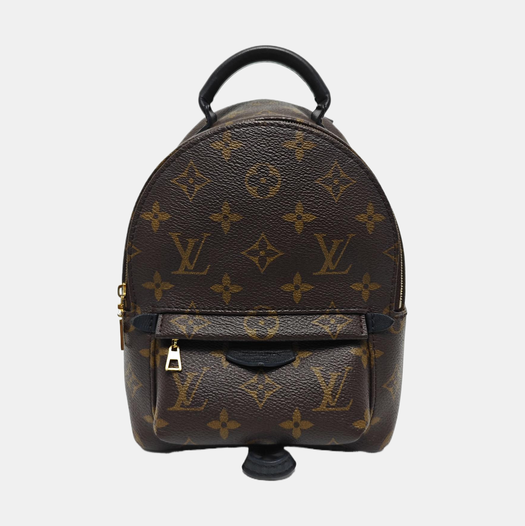 PALM SPRINGS Mini Monogram Coated Canvas Brown