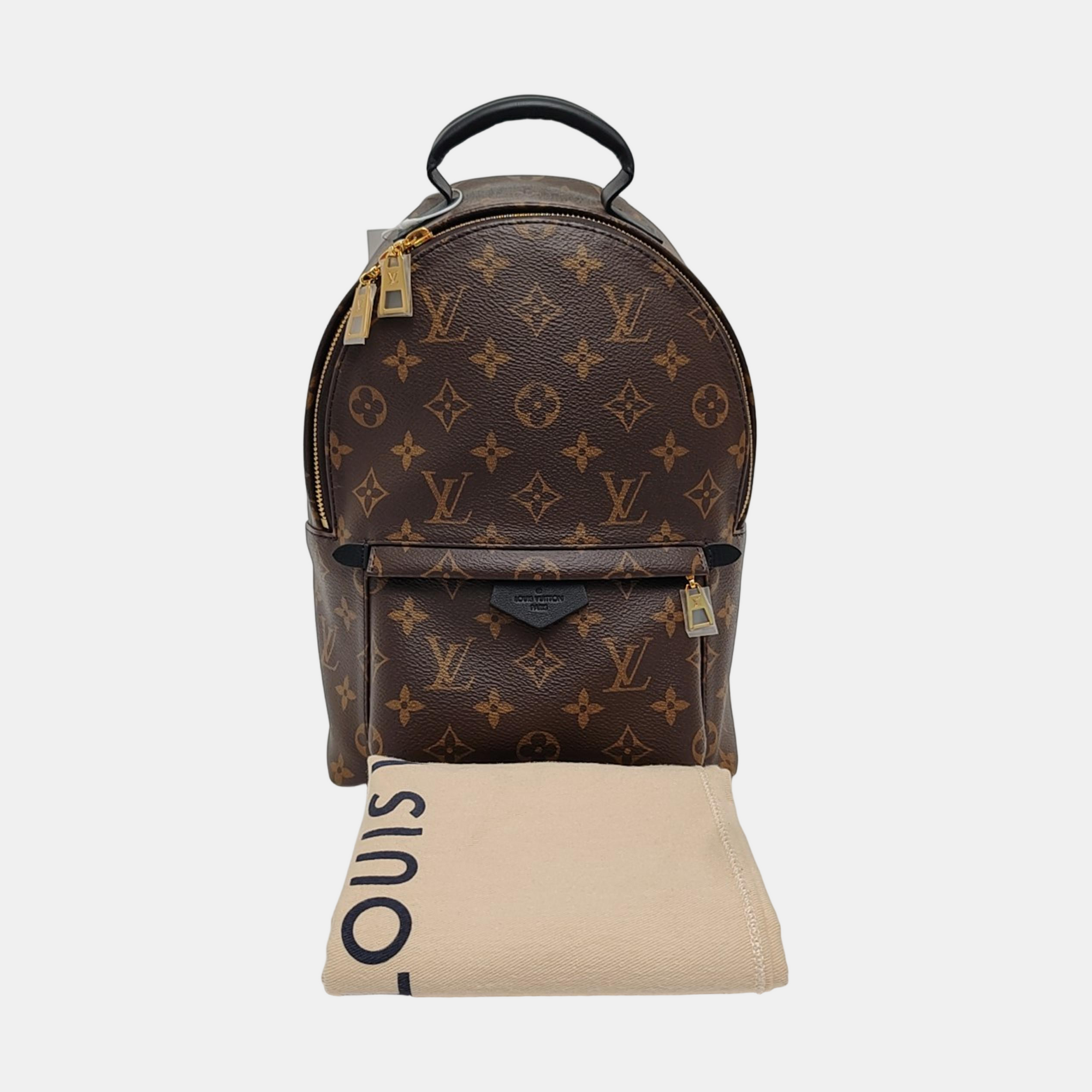 PALM SPRINGS PM Monogram Coated Canvas Brown