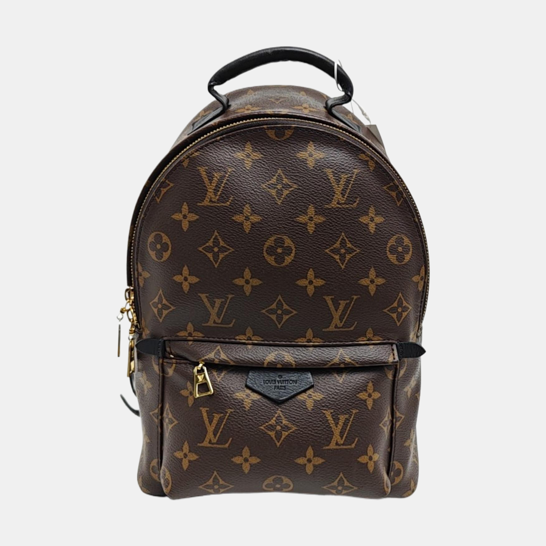 PALM SPRINGS PM Monogram Coated Canvas Brown