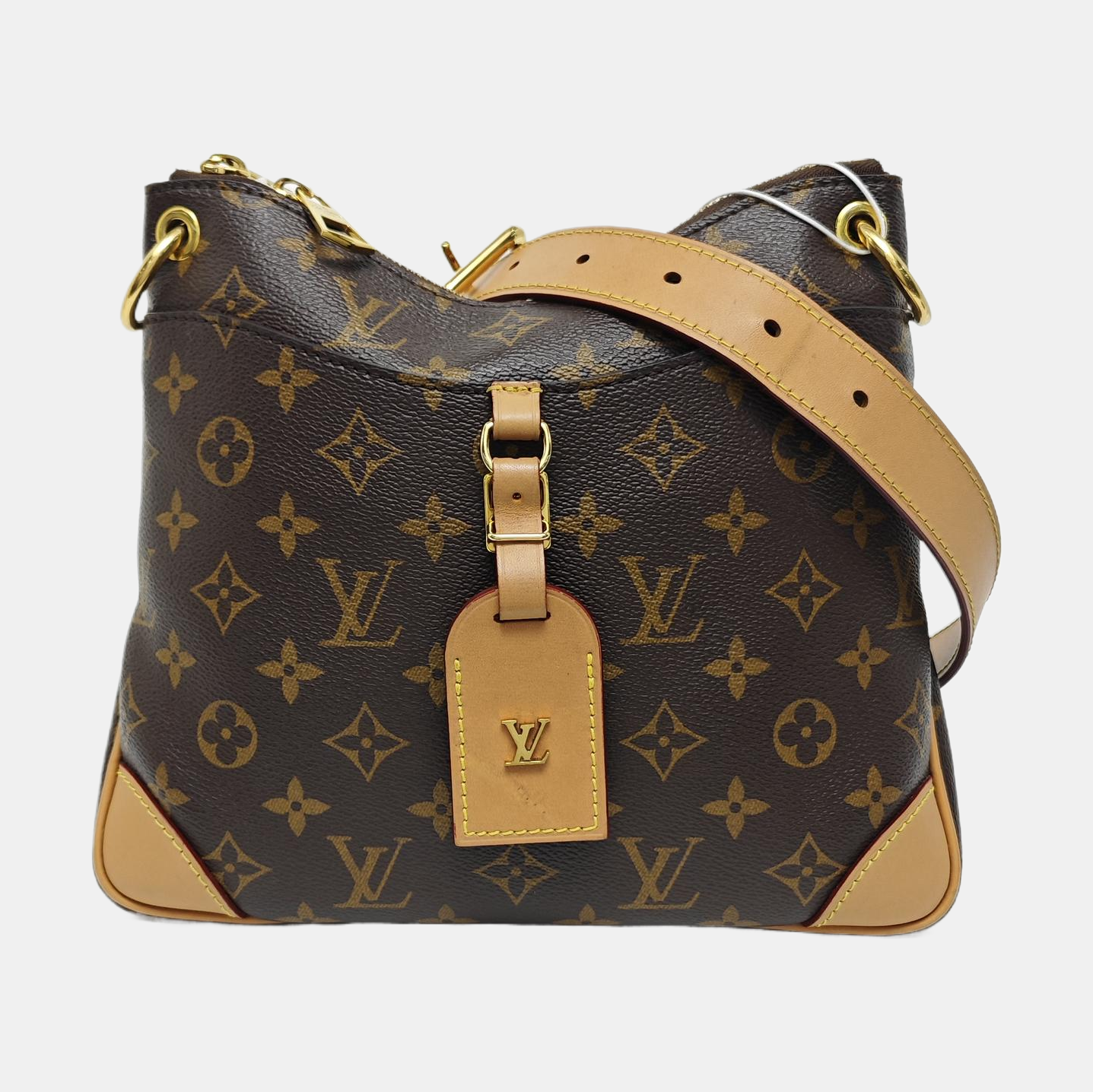 ODEON PM Monogram Coated Canvas Brown