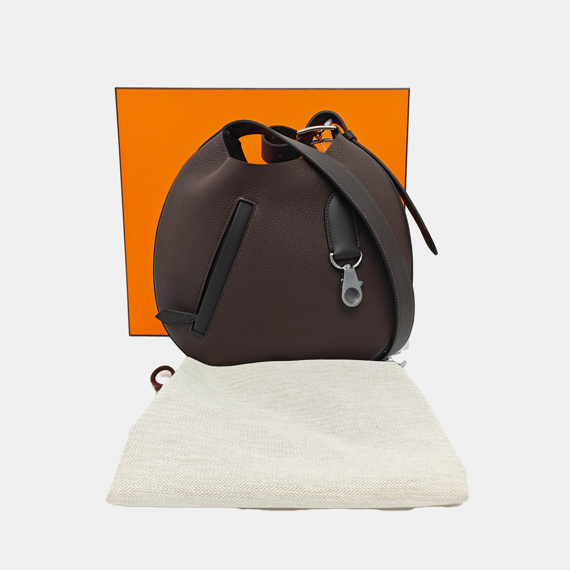 P'tit Arcon Togo Brown