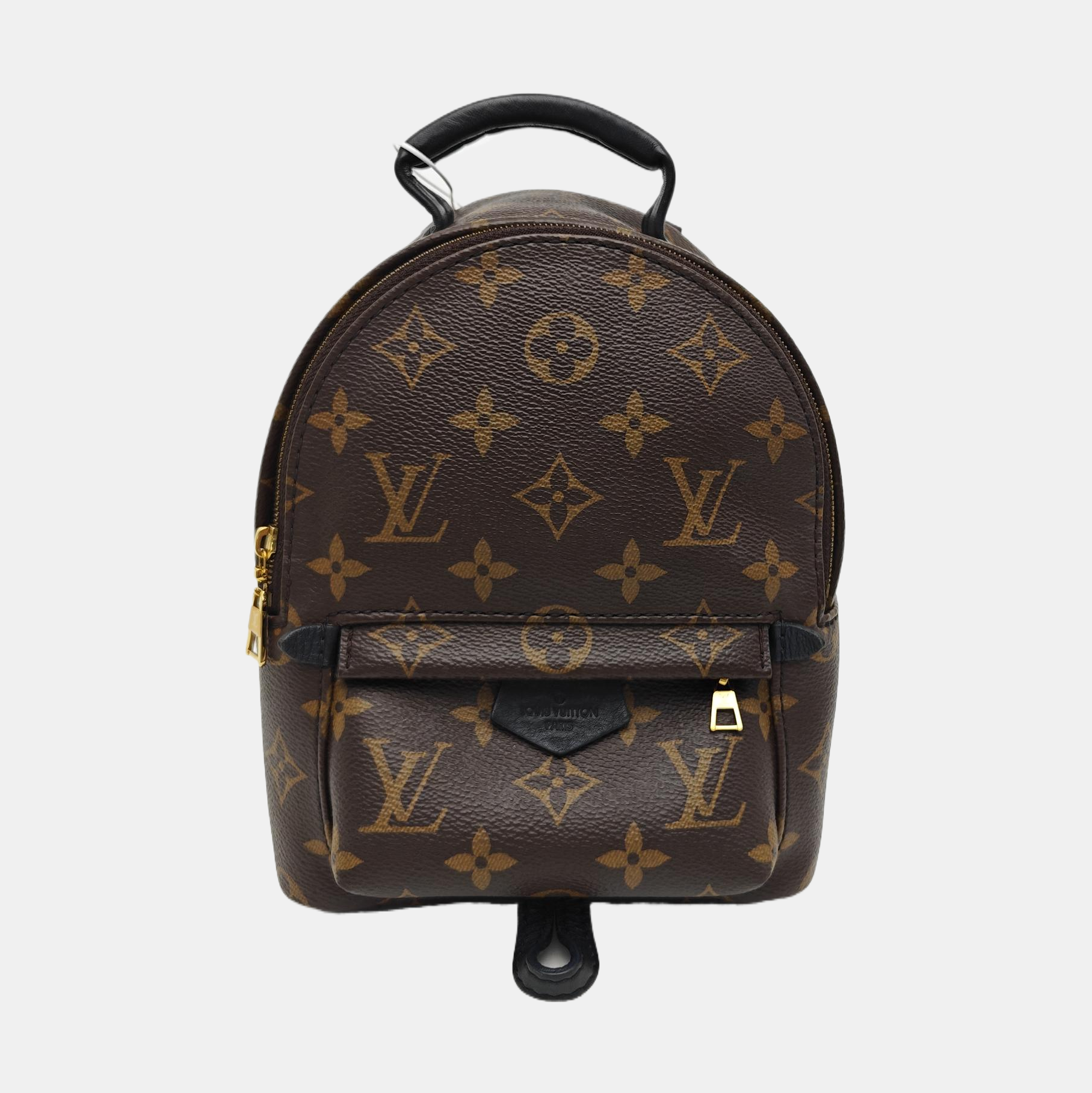 PALM SPRINGS Mini Monogram Coated Canvas Brown