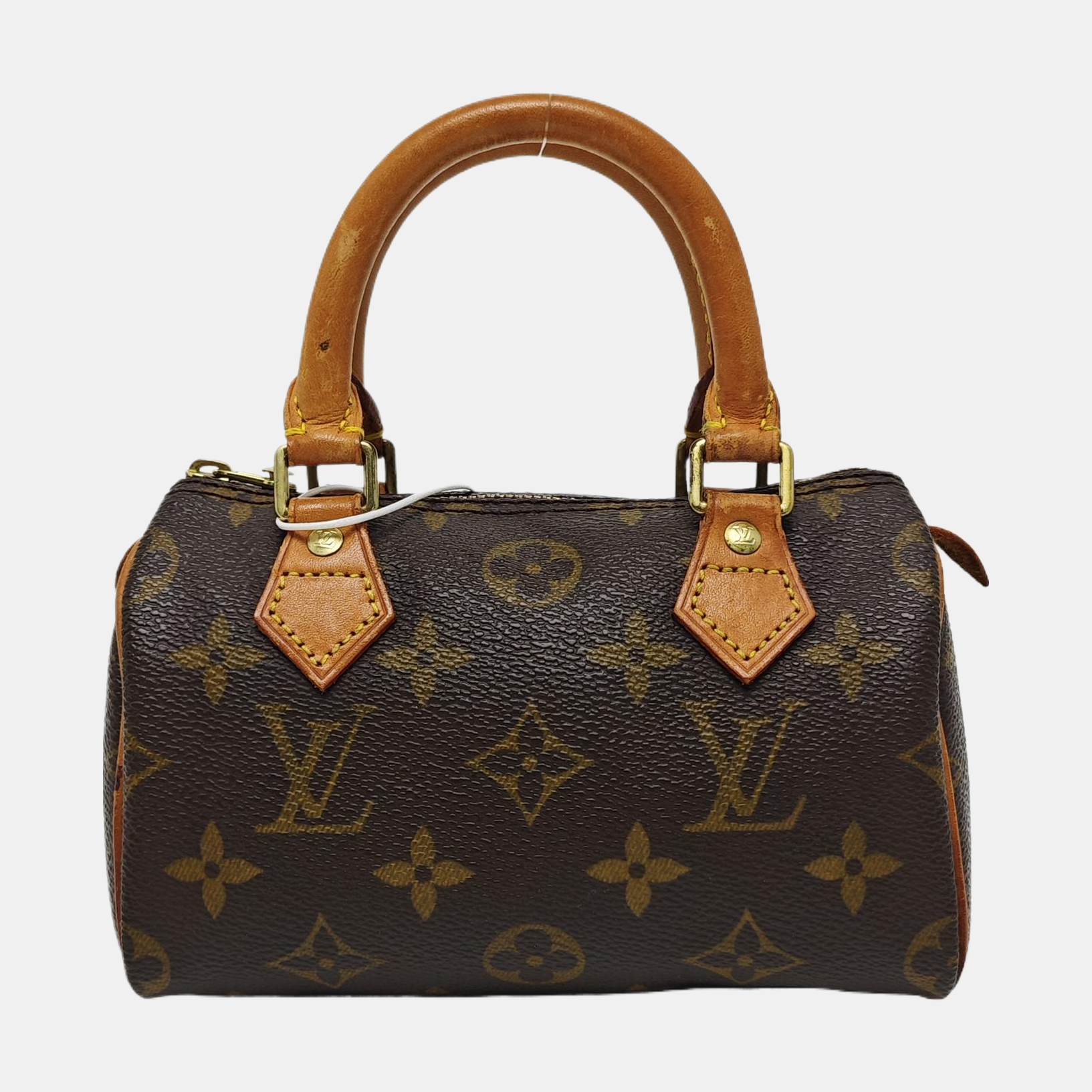 SPEEDY Nano Monogram Coated Canvas Brown