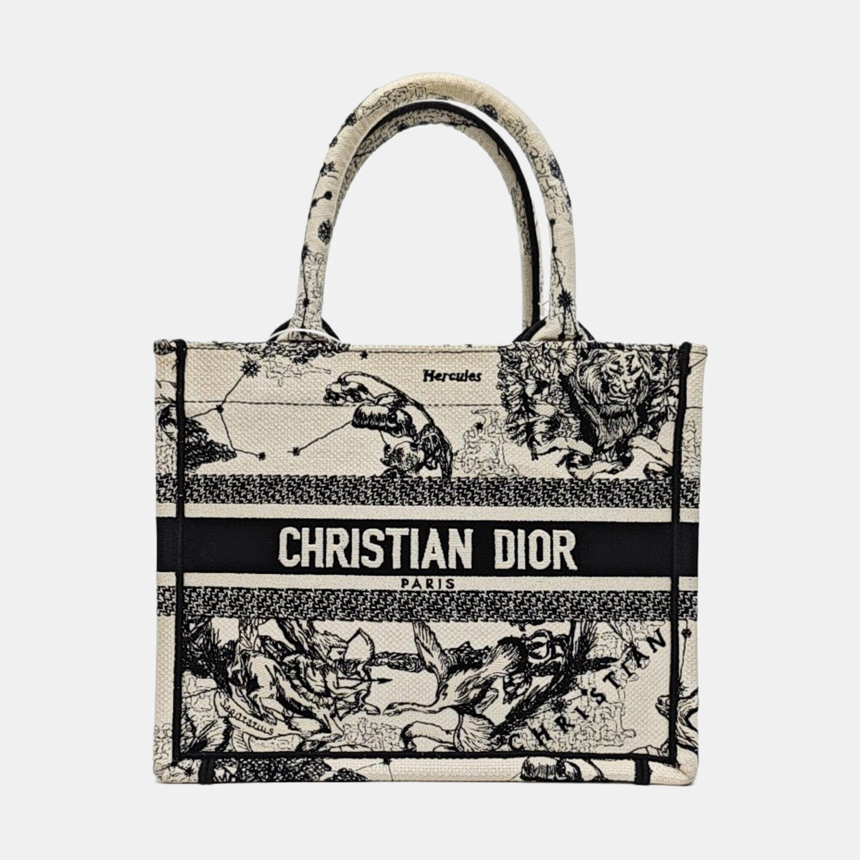 Book Tote Small Canvas White