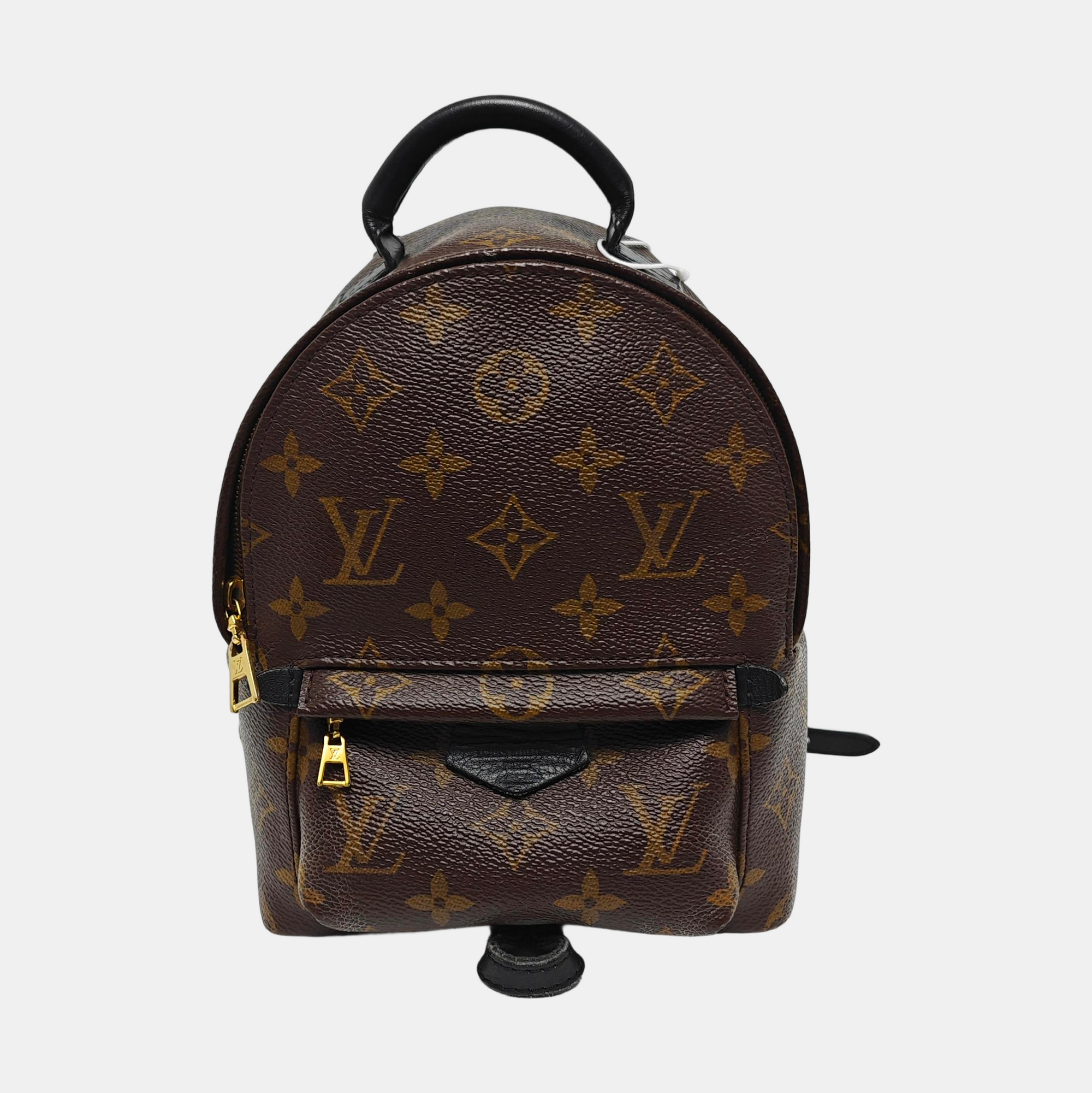 PALM SPRINGS Mini Monogram Coated Canvas Brown