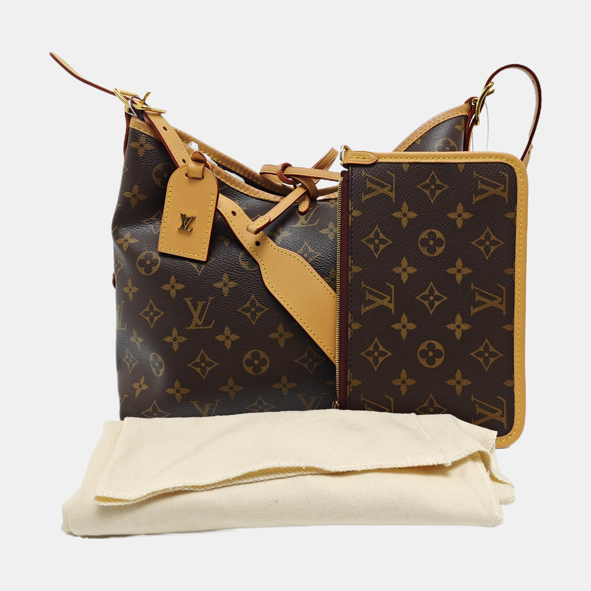CARRYALL PM Monogram Coated Canvas Brown