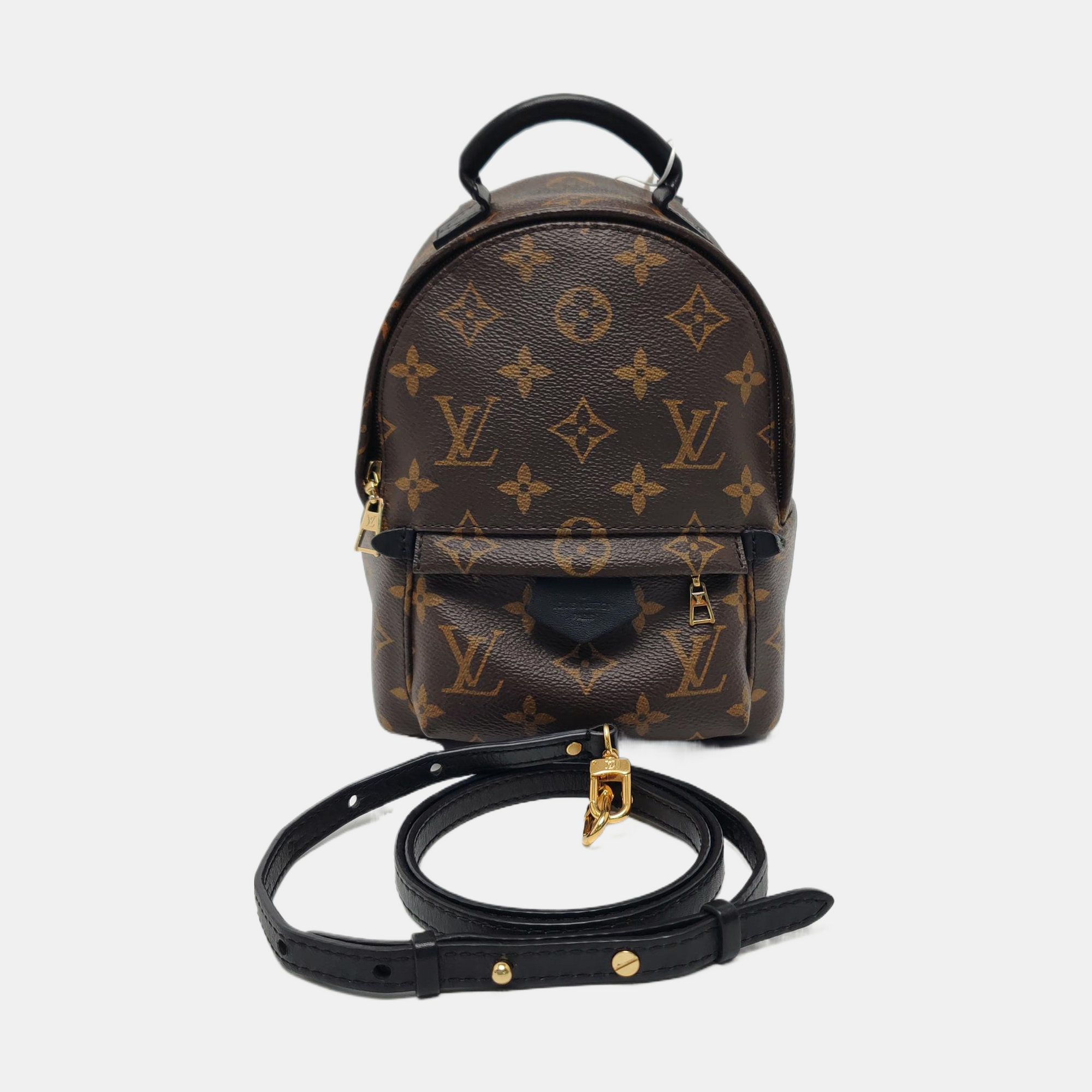 PALM SPRINGS Mini Monogram Coated Canvas Brown