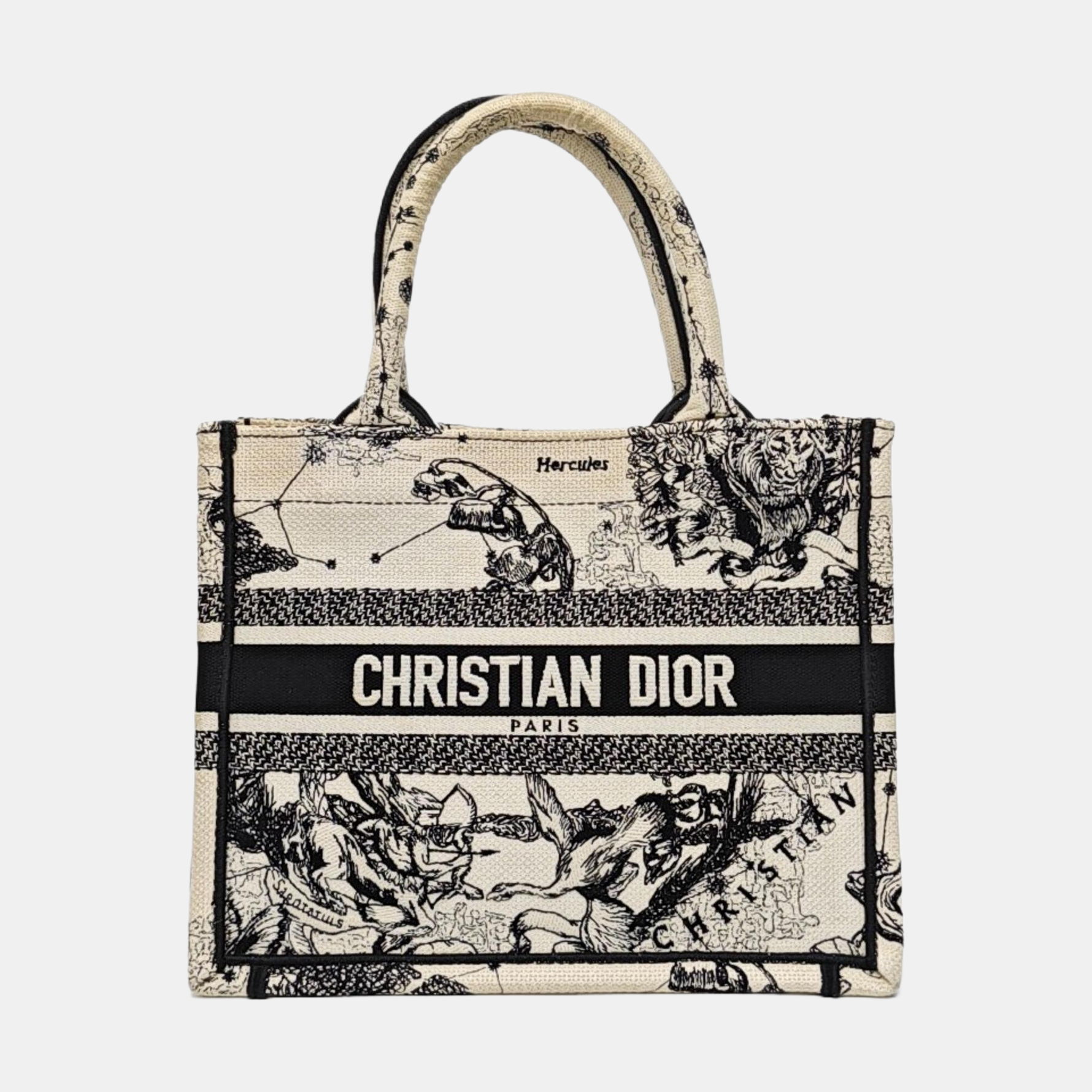 Book Tote Small Canvas White
