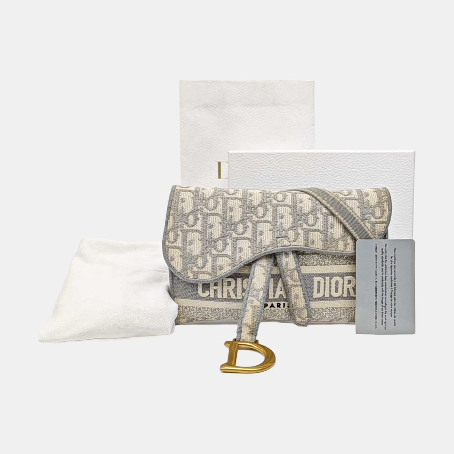 Saddle Mini Oblique Canvas Gray