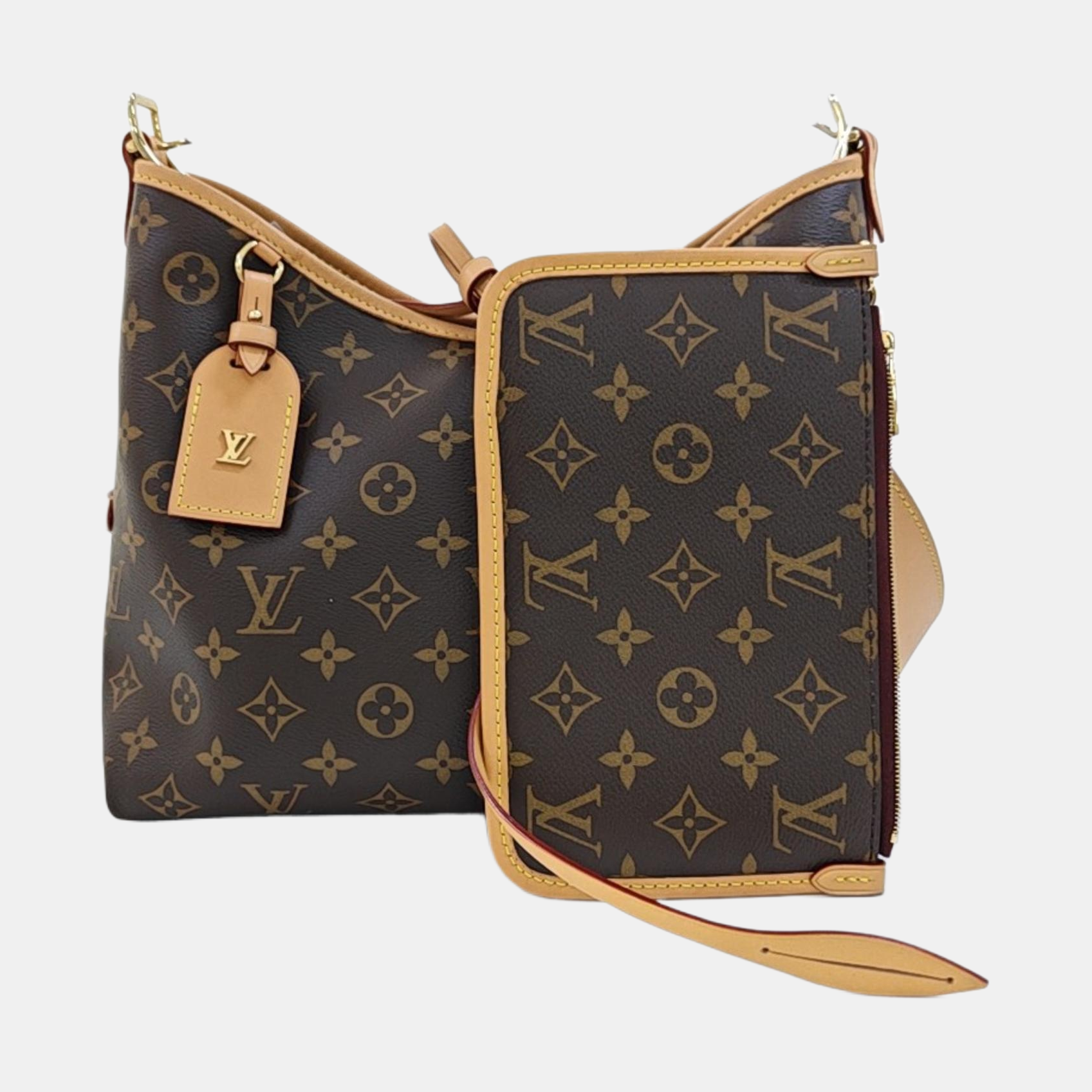 CARRYALL PM Monogram Coated Canvas Brown