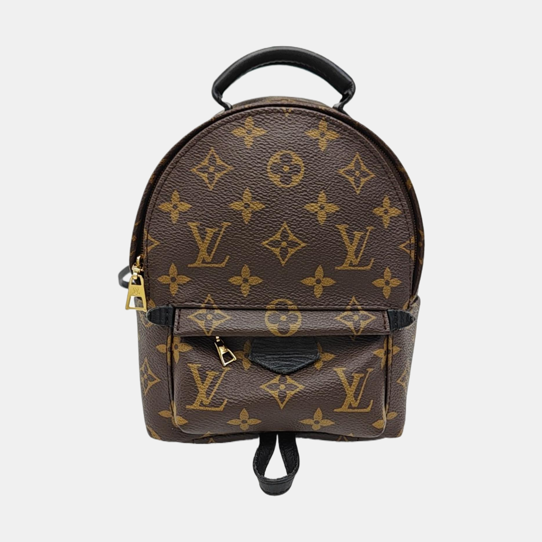 PALM SPRINGS Mini Monogram Coated Canvas Brown