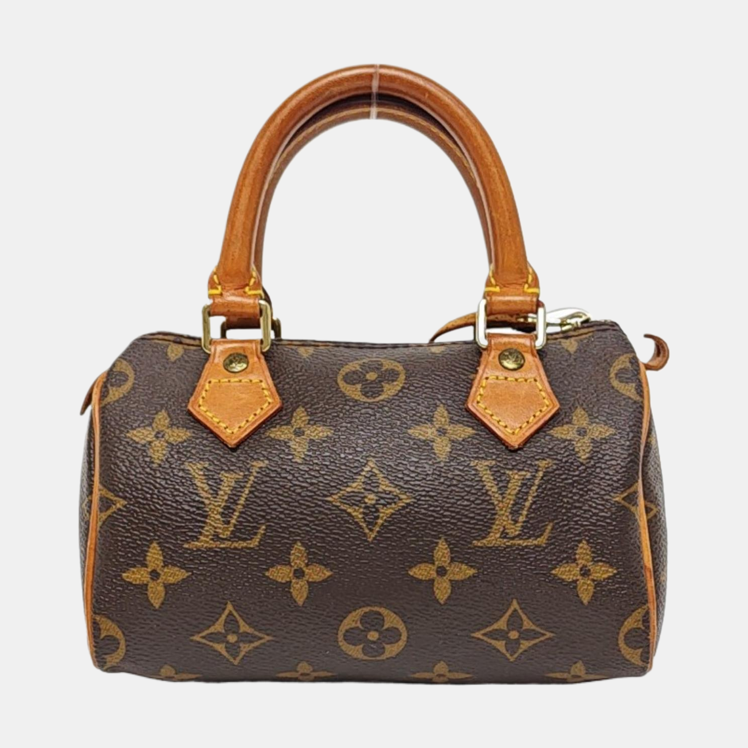 SPEEDY Nano Monogram Coated Canvas Brown