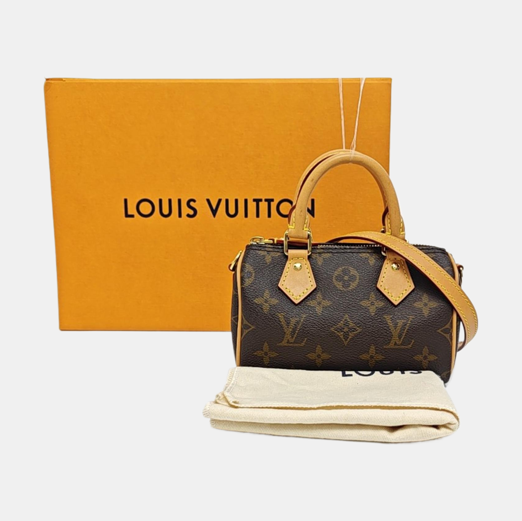 SPEEDY Nano Monogram Coated Canvas Brown
