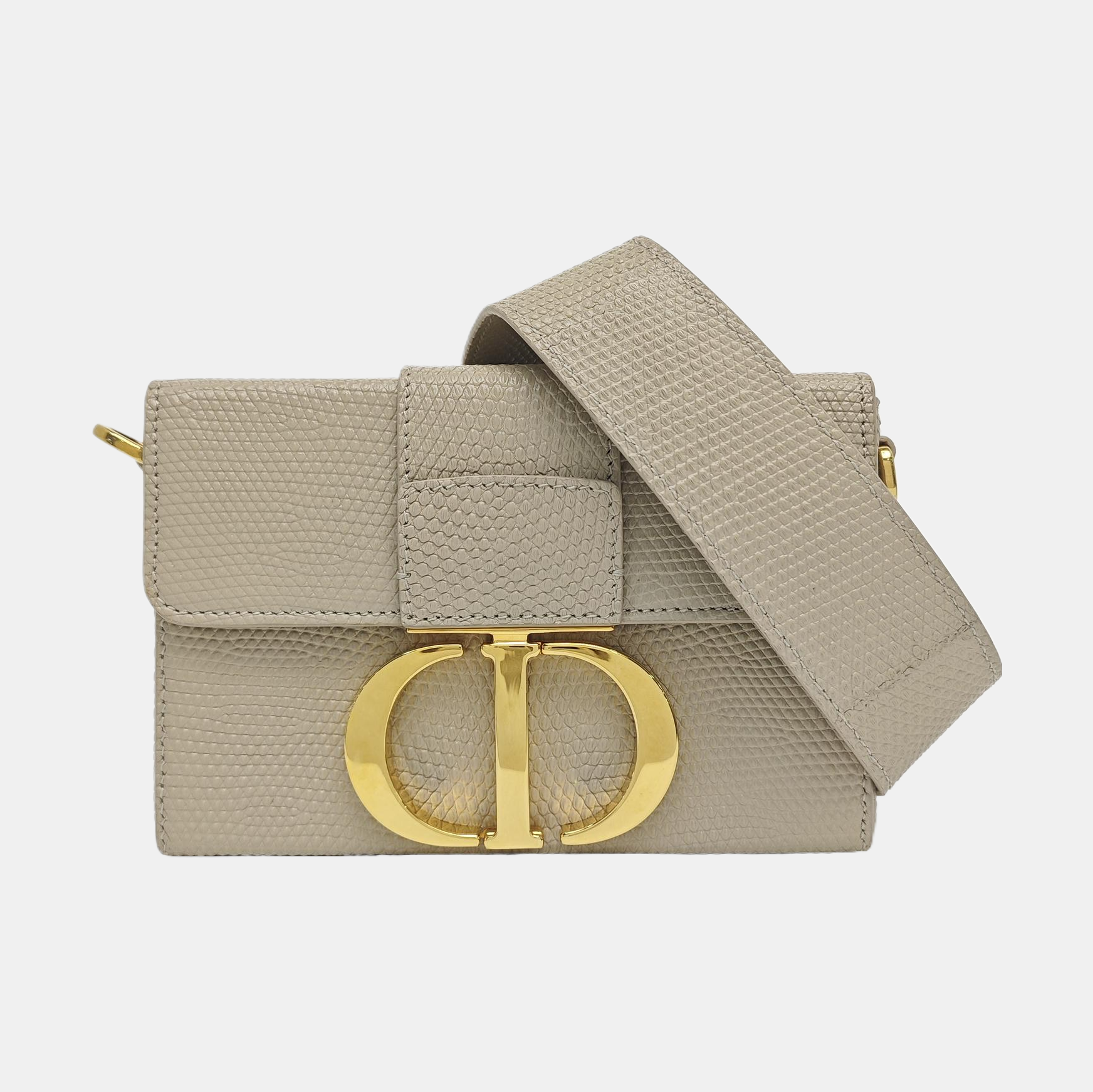 30 Montaigne Mini Python Gray