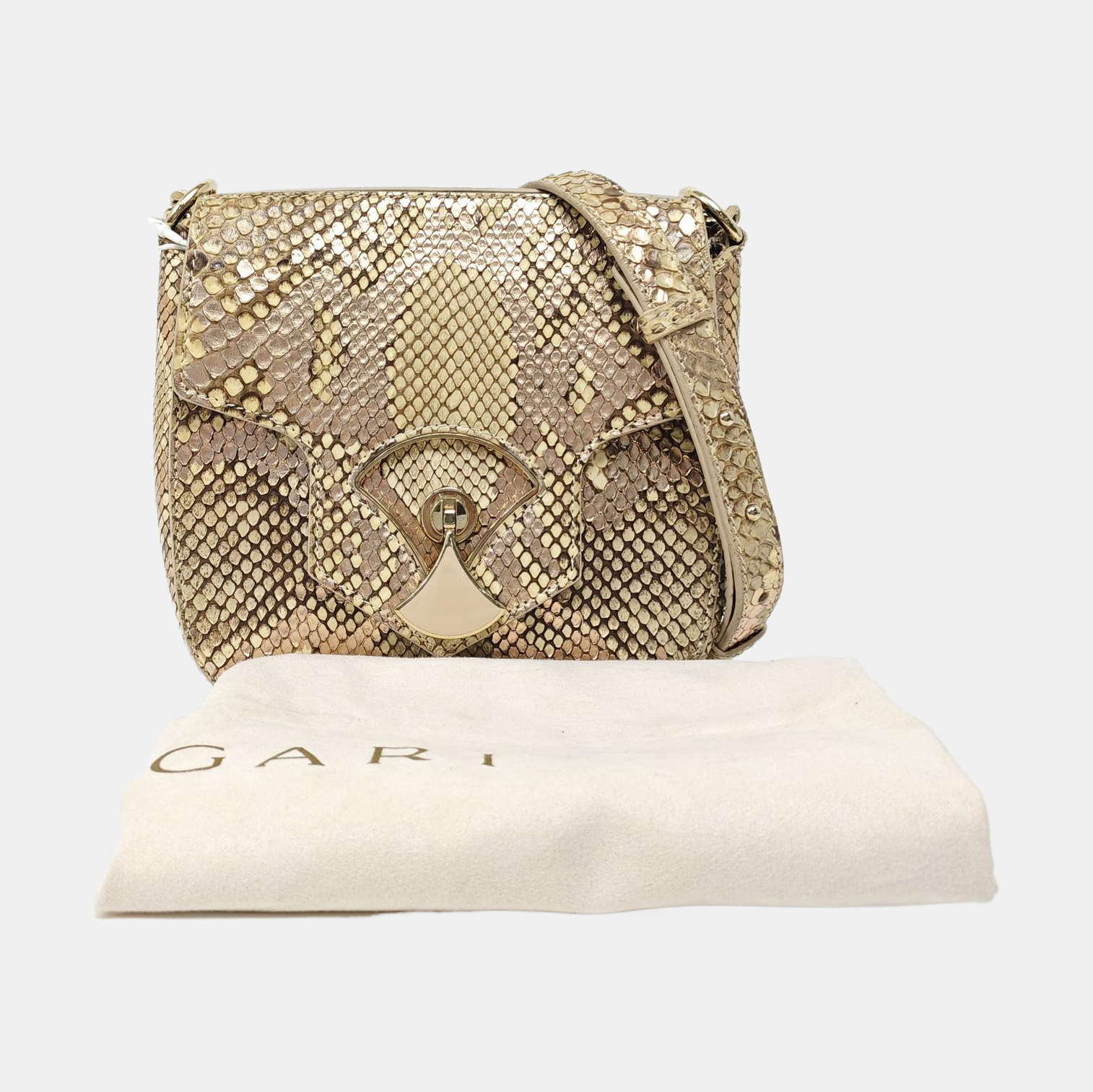 DIVAS' DREAM Python Multicolor