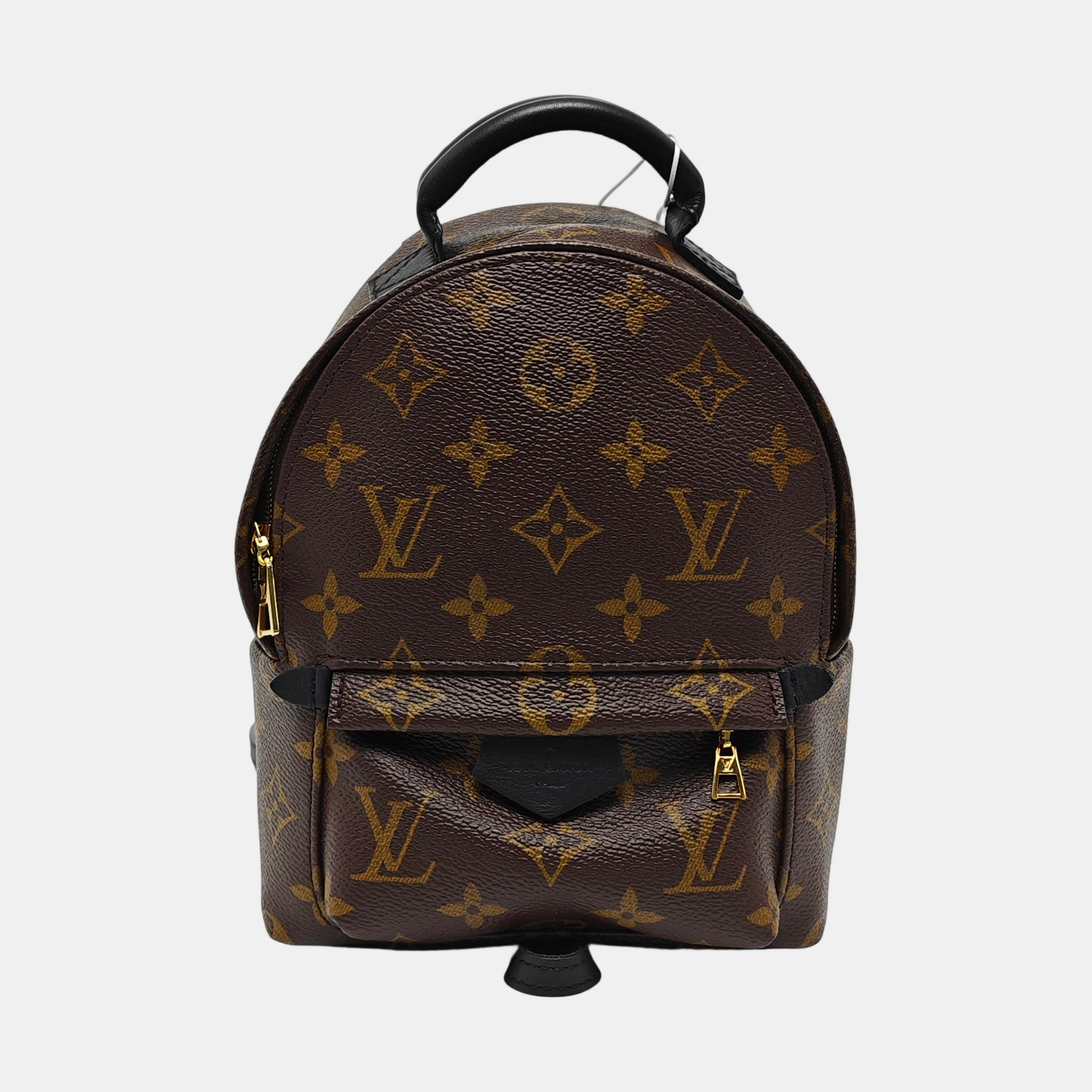 PALM SPRINGS Mini Monogram Coated Canvas Brown