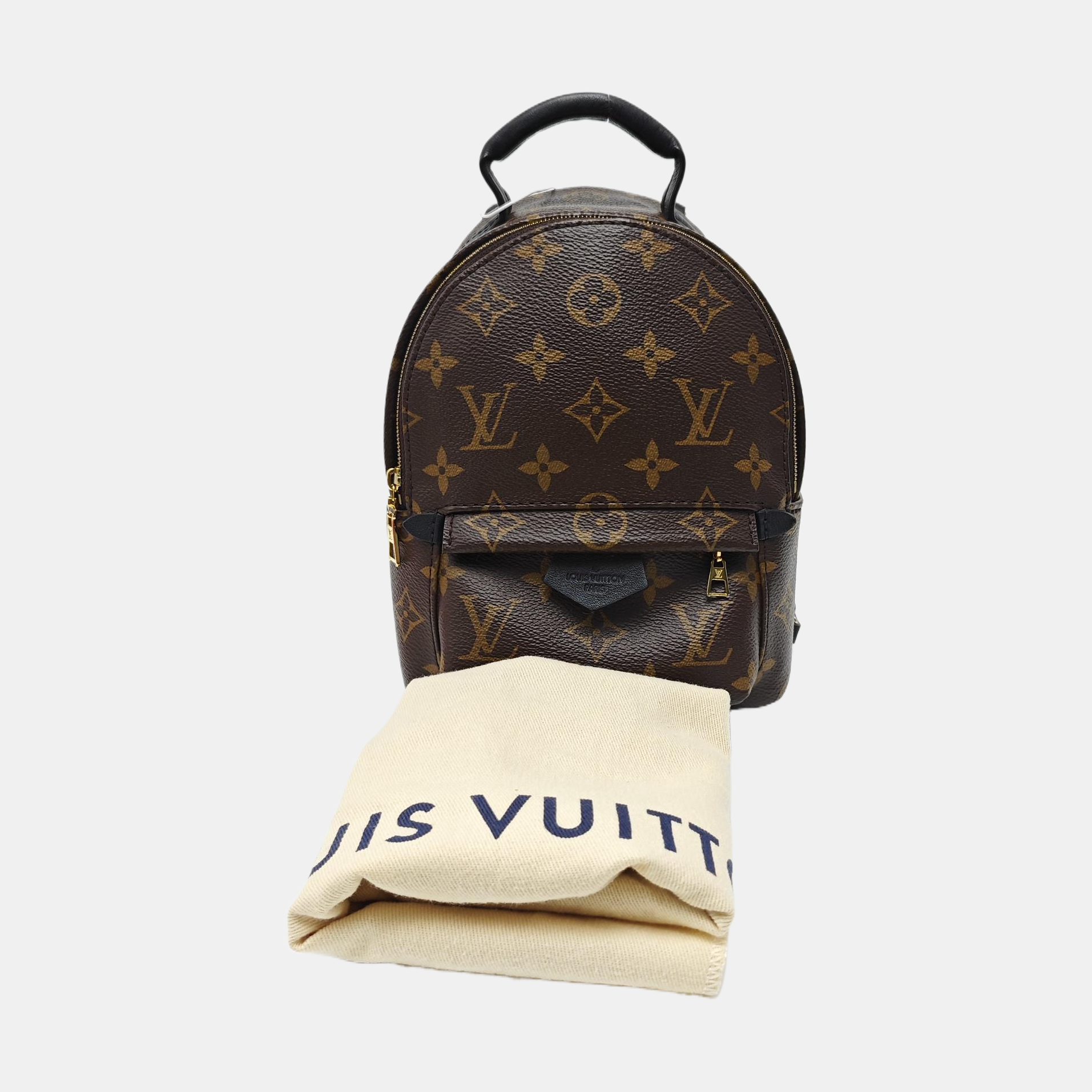 PALM SPRINGS Mini Monogram Coated Canvas Brown