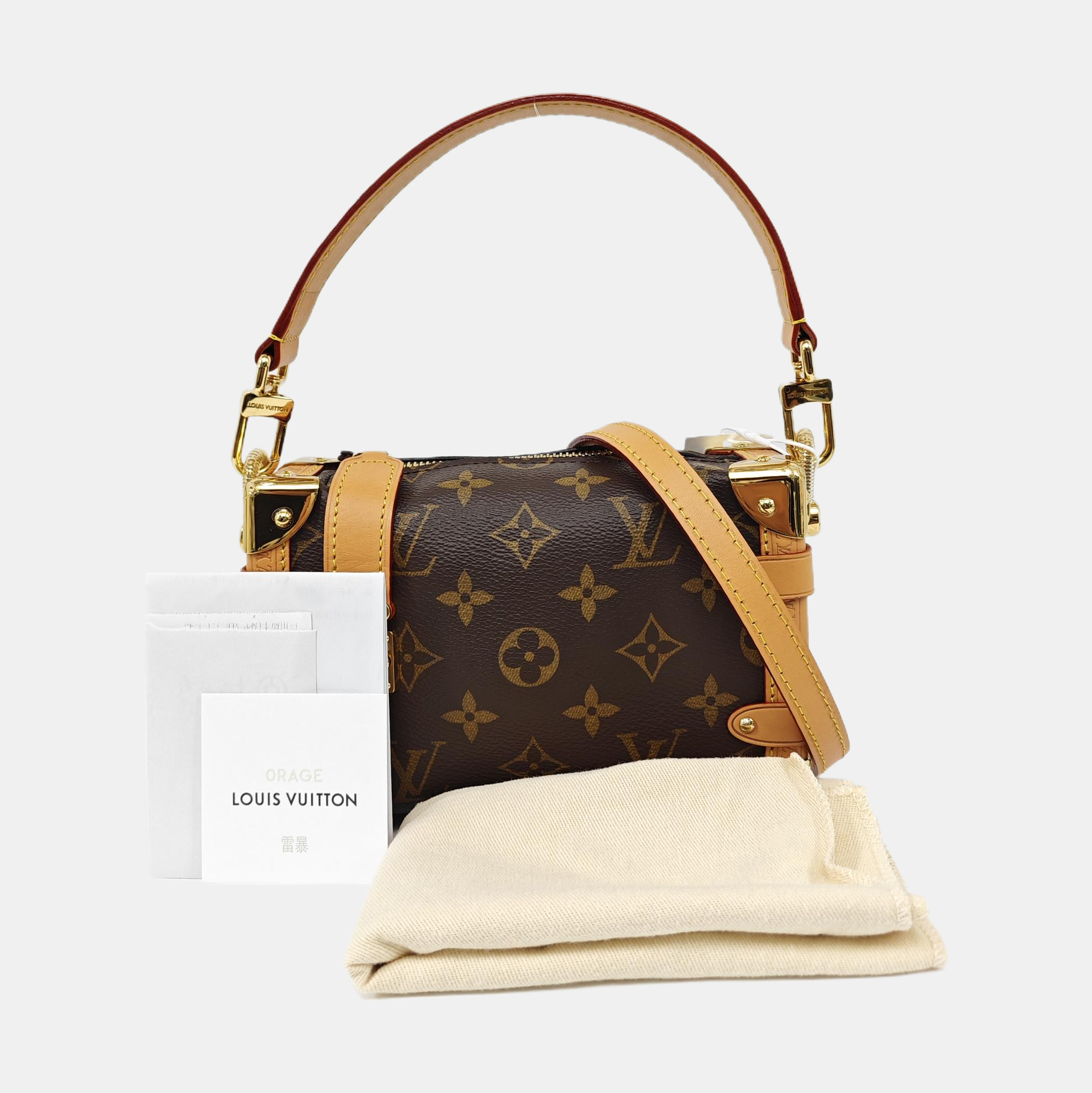 SIDE TRUNK PM Monogram Coated Canvas Brown