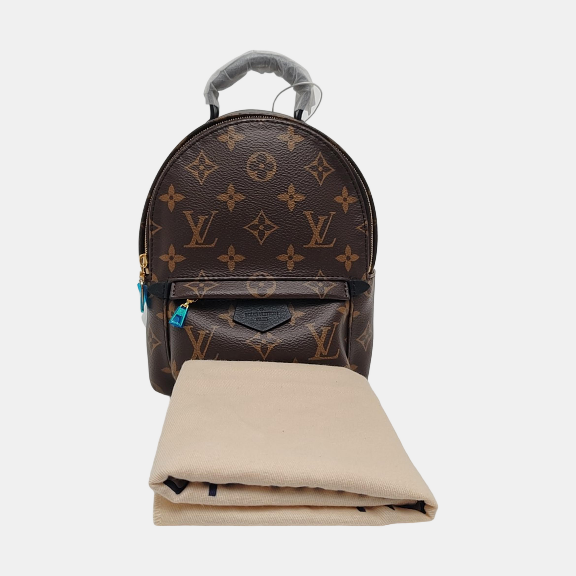 PALM SPRINGS Mini Monogram Coated Canvas Brown