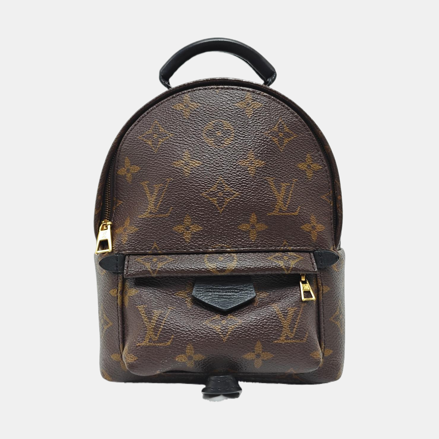 PALM SPRINGS Mini Monogram Coated Canvas Brown