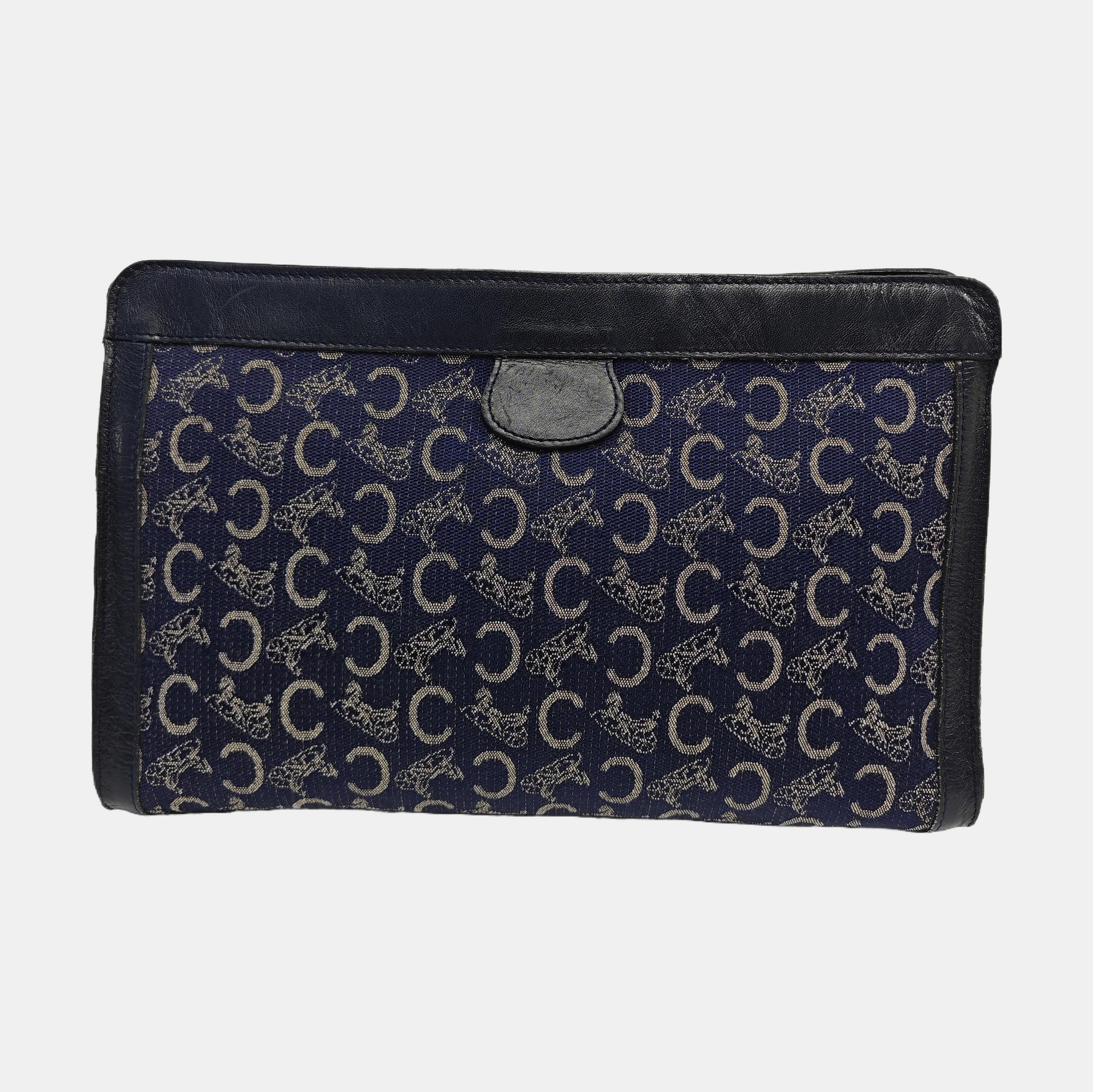 Coated Canvas Clutch Blue