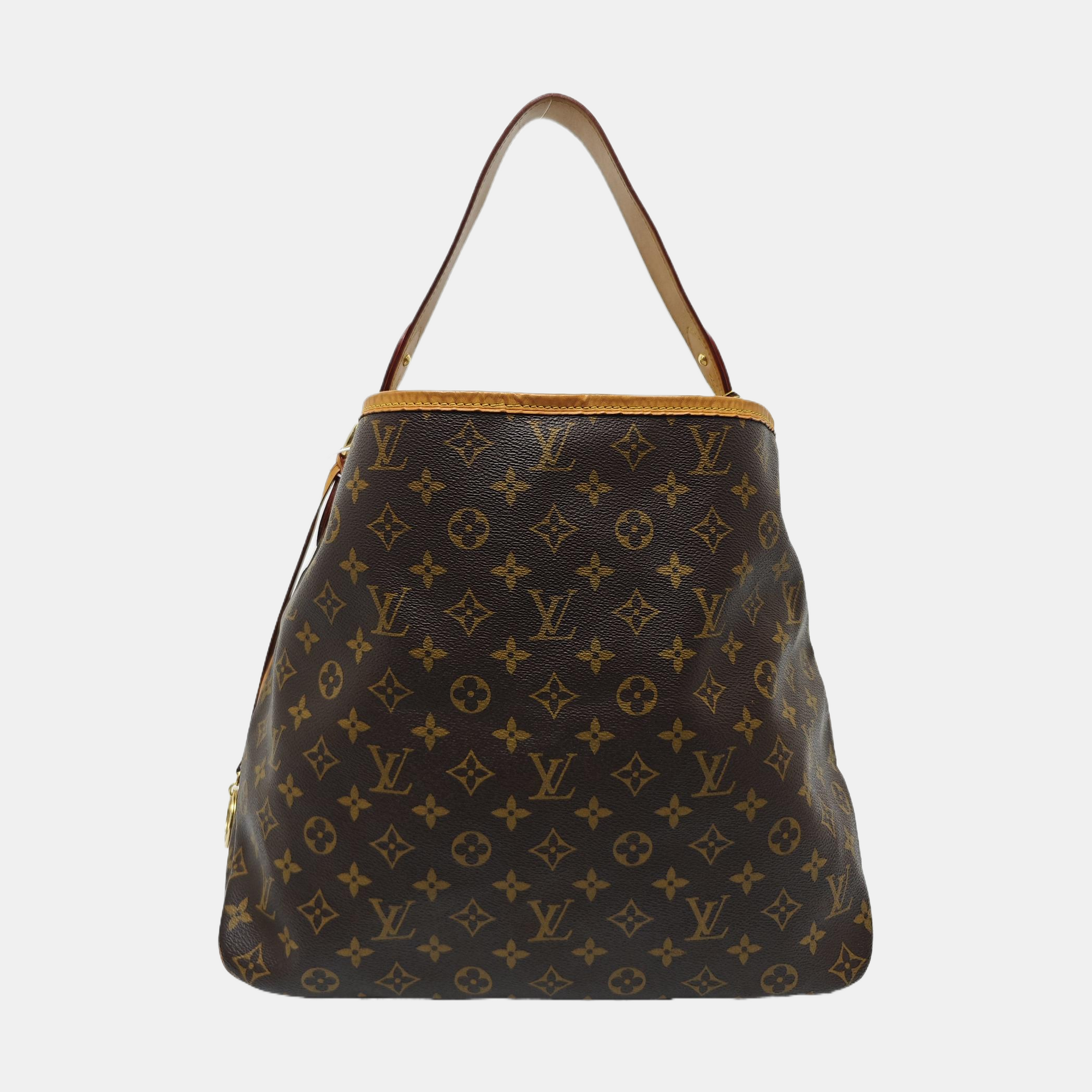 DELIGHTFUL Monogram Coated Canvas Brown