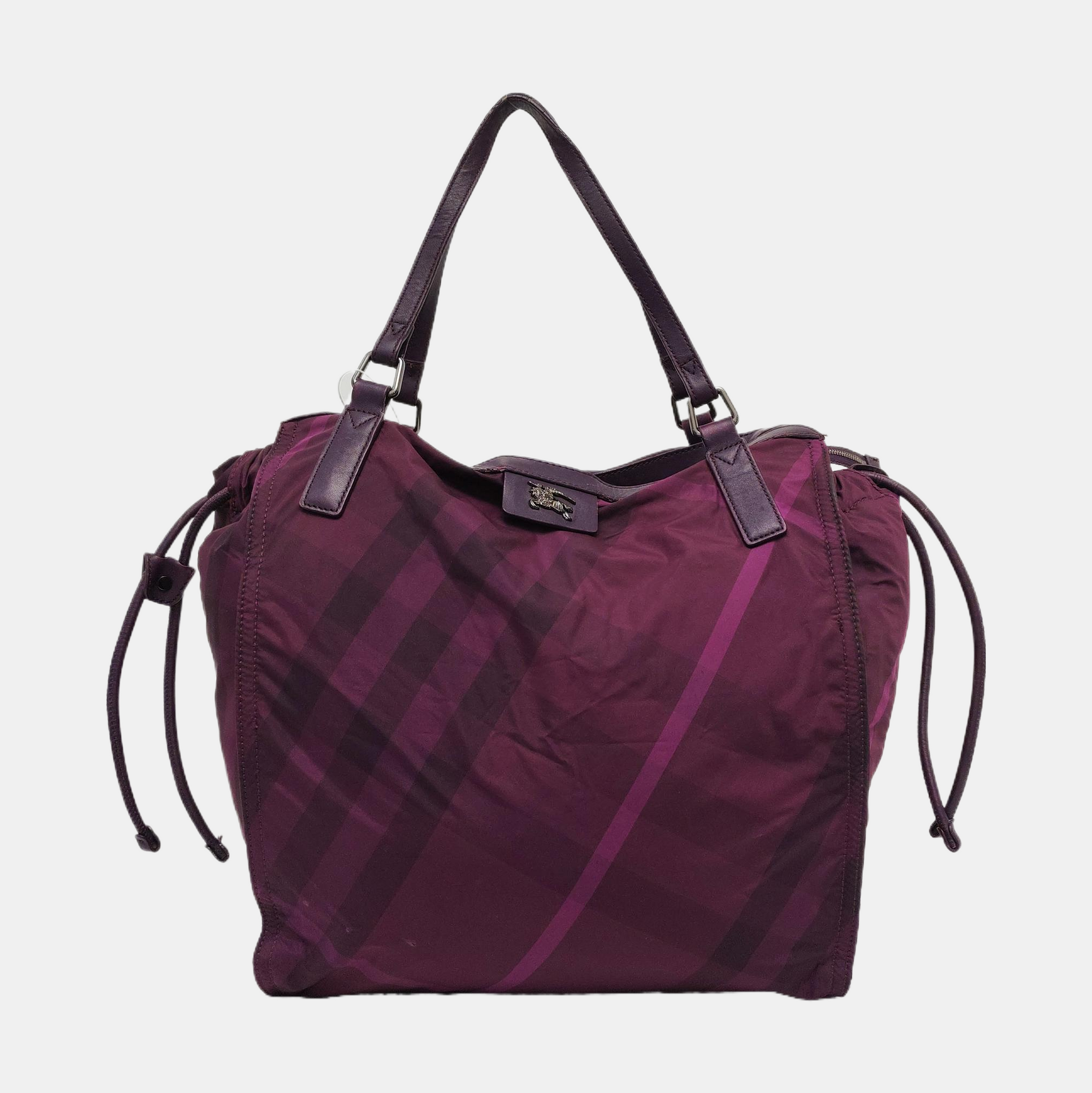 Buckleigh Nylon Purple