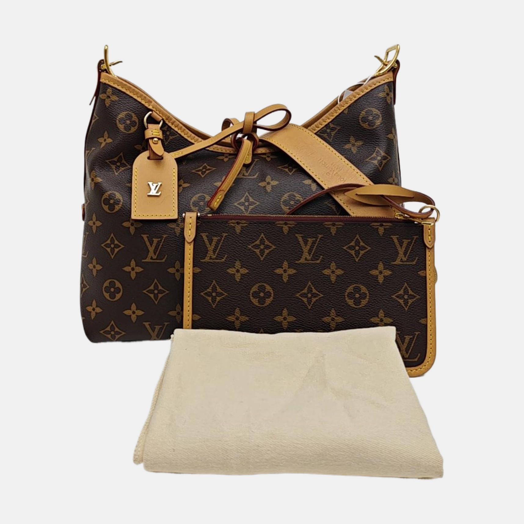 CARRYALL PM Monogram Coated Canvas Brown