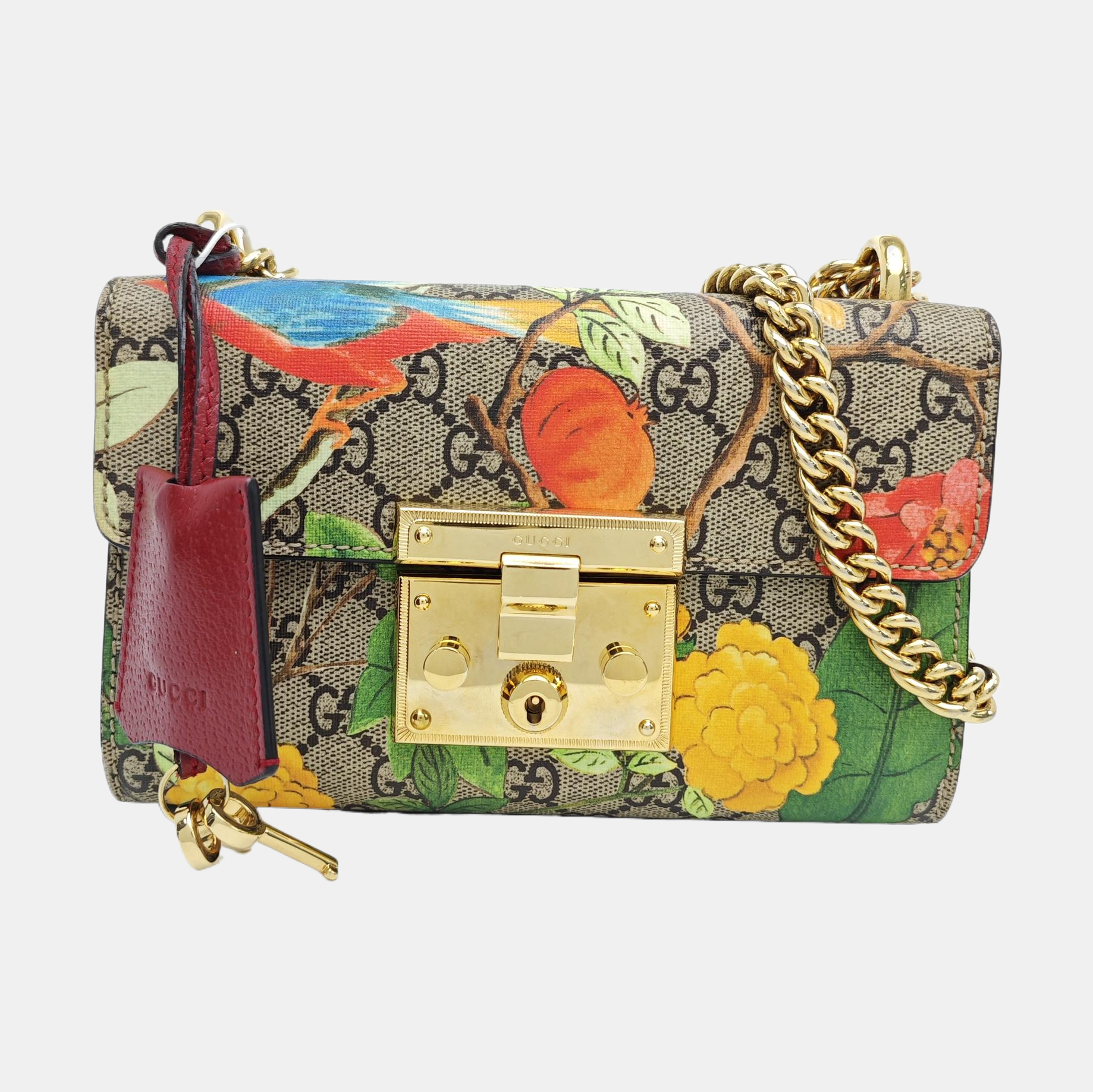 Padlock Small Monogram Coated Canvas Multicolor