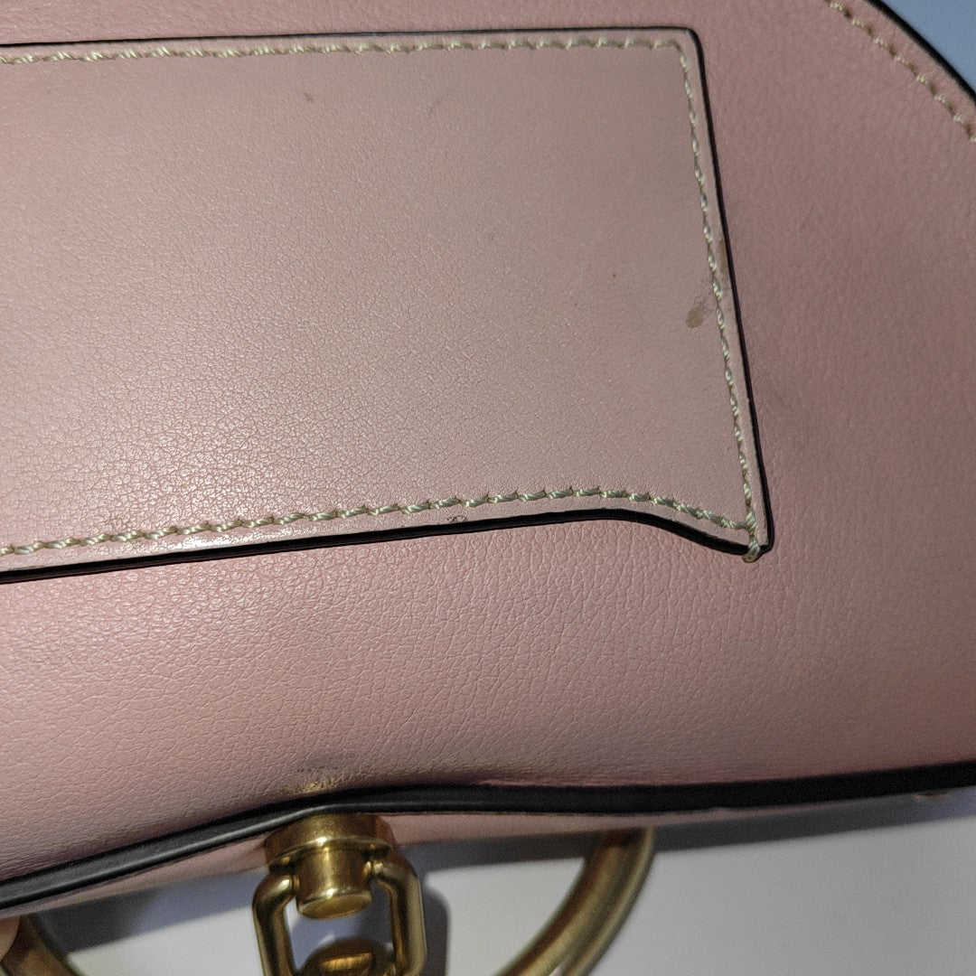 Nile Small Calfskin Pink