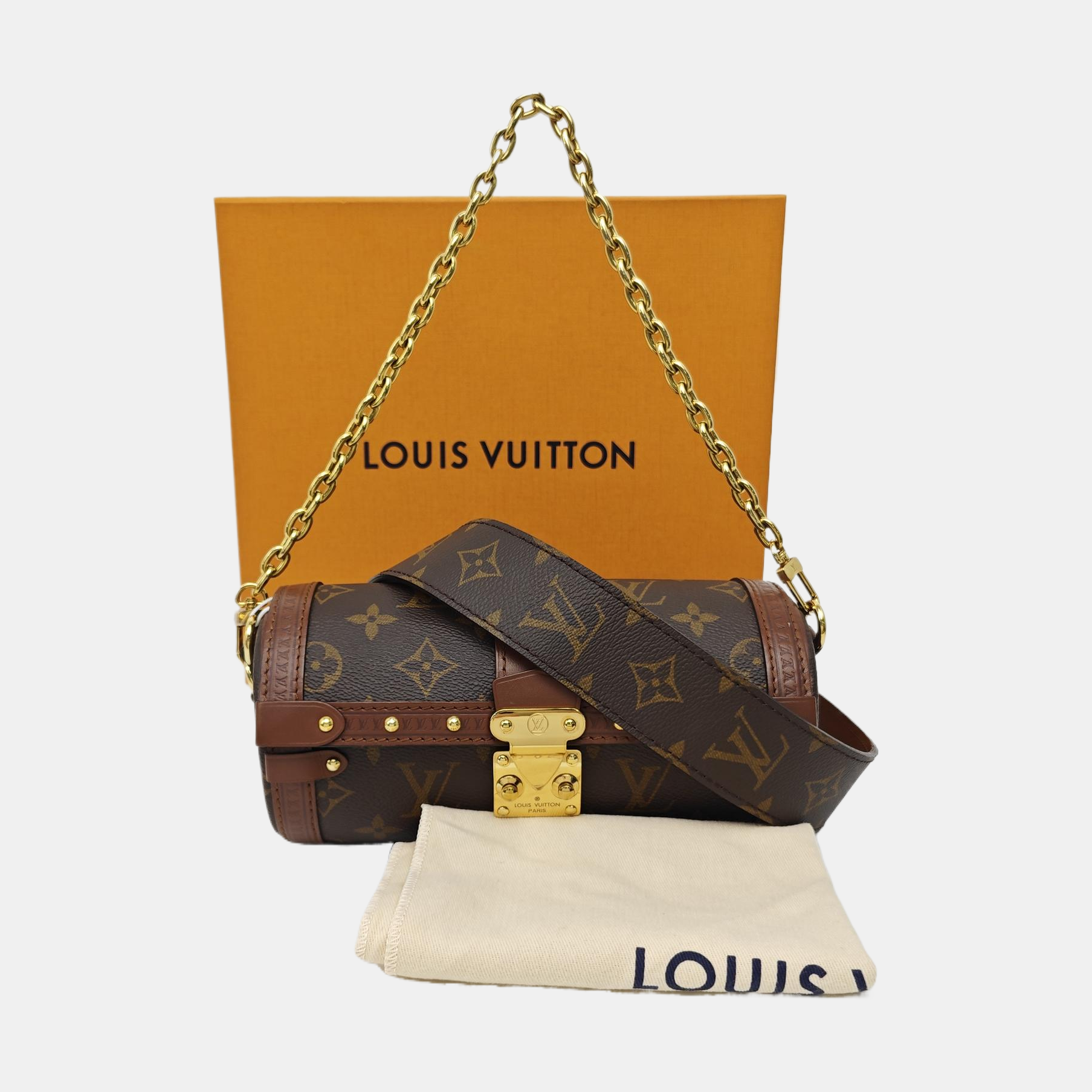 PAPILLON 19 Monogram Coated Canvas Brown