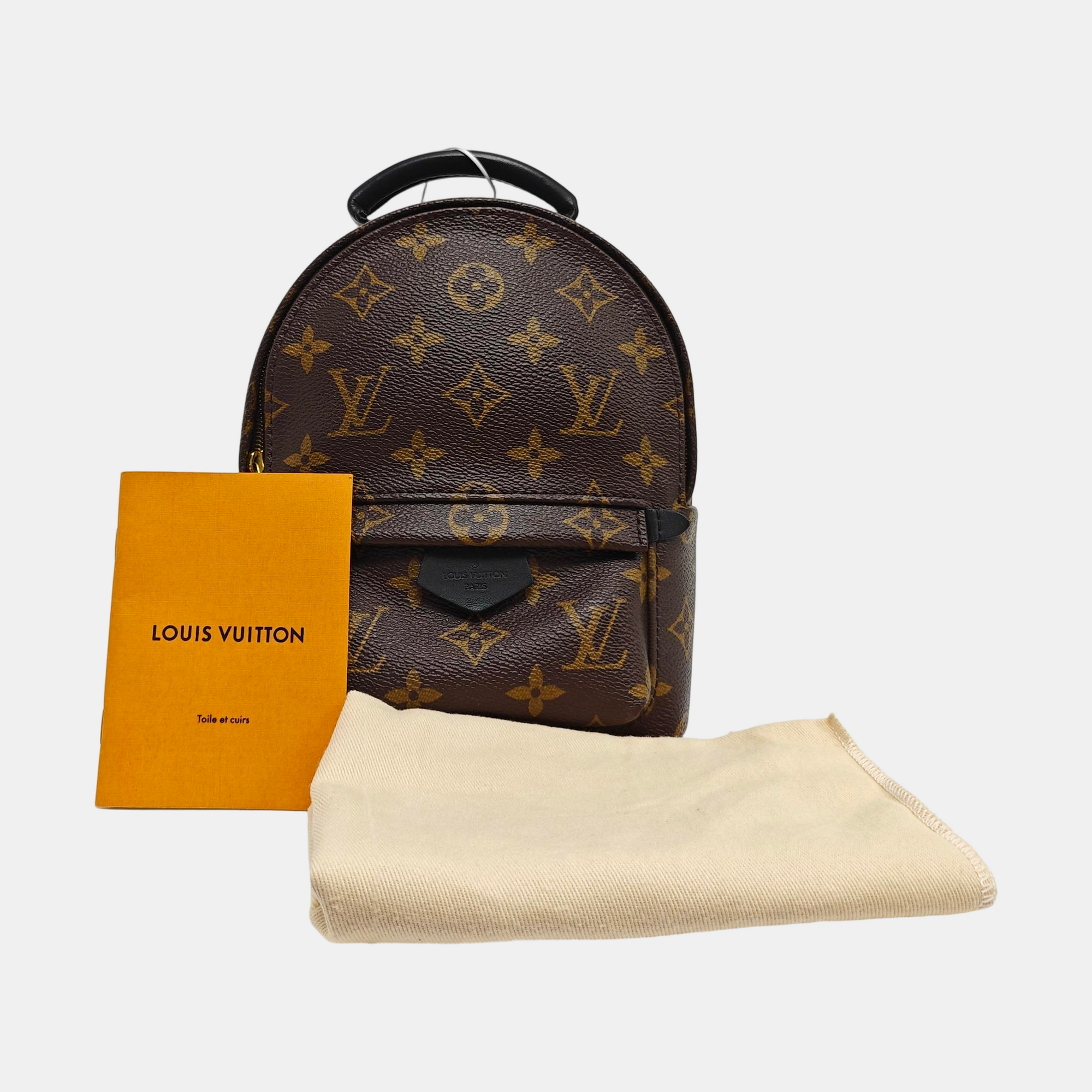 PALM SPRINGS Mini Monogram Coated Canvas Brown