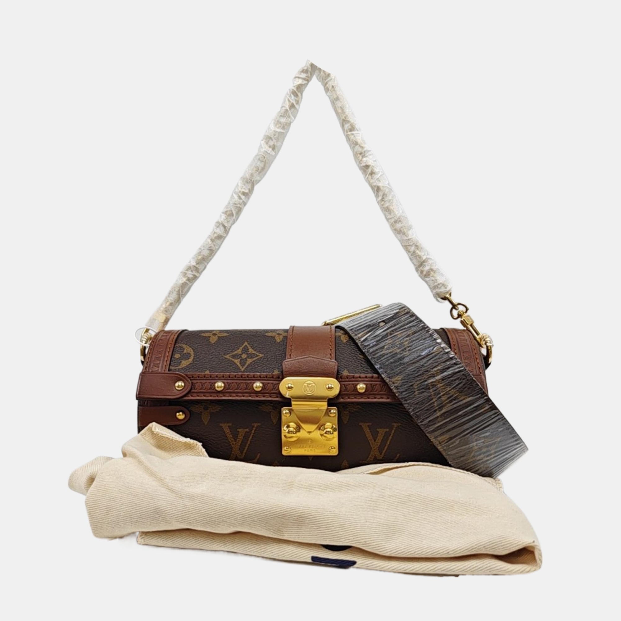 PAPILLON 19 Monogram Coated Canvas Brown