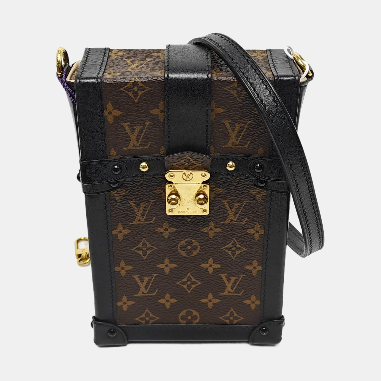 TRUNK Monogram Coated Canvas Brown