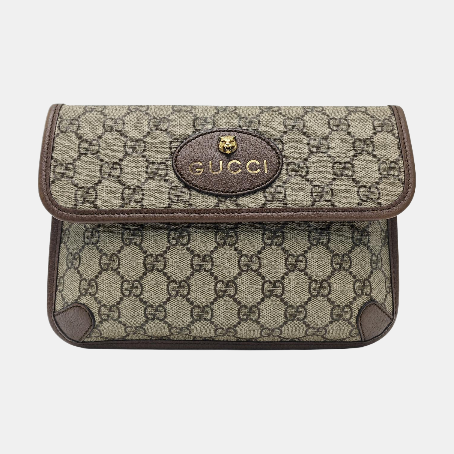 Neo Vintage Monogram Coated Canvas Beige