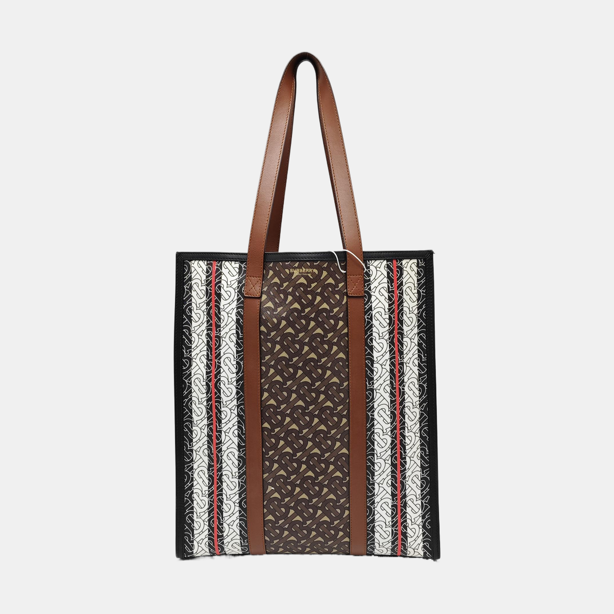 MONOGRAM Medium Coated Canvas Multicolor