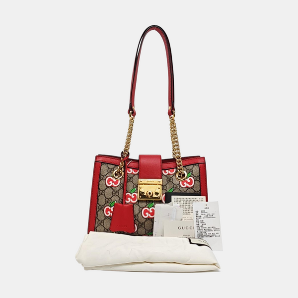 Padlock Small Monogram Coated Canvas Multicolor