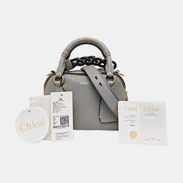 Daria Small Calfskin Gray