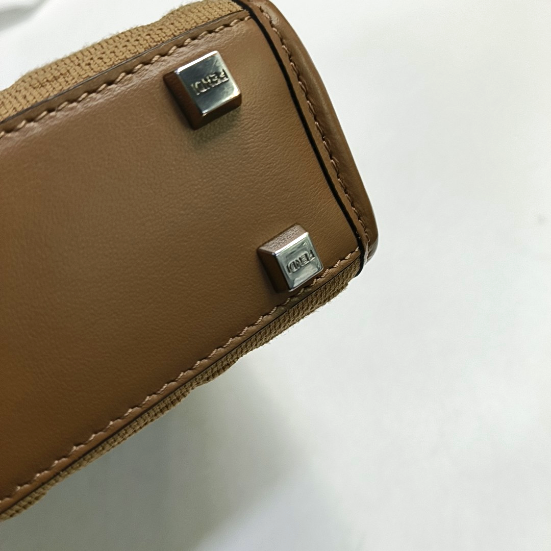 Authenticated pre-owned  Sunshine Mini Canvas Brown - Tote Bag at Looply