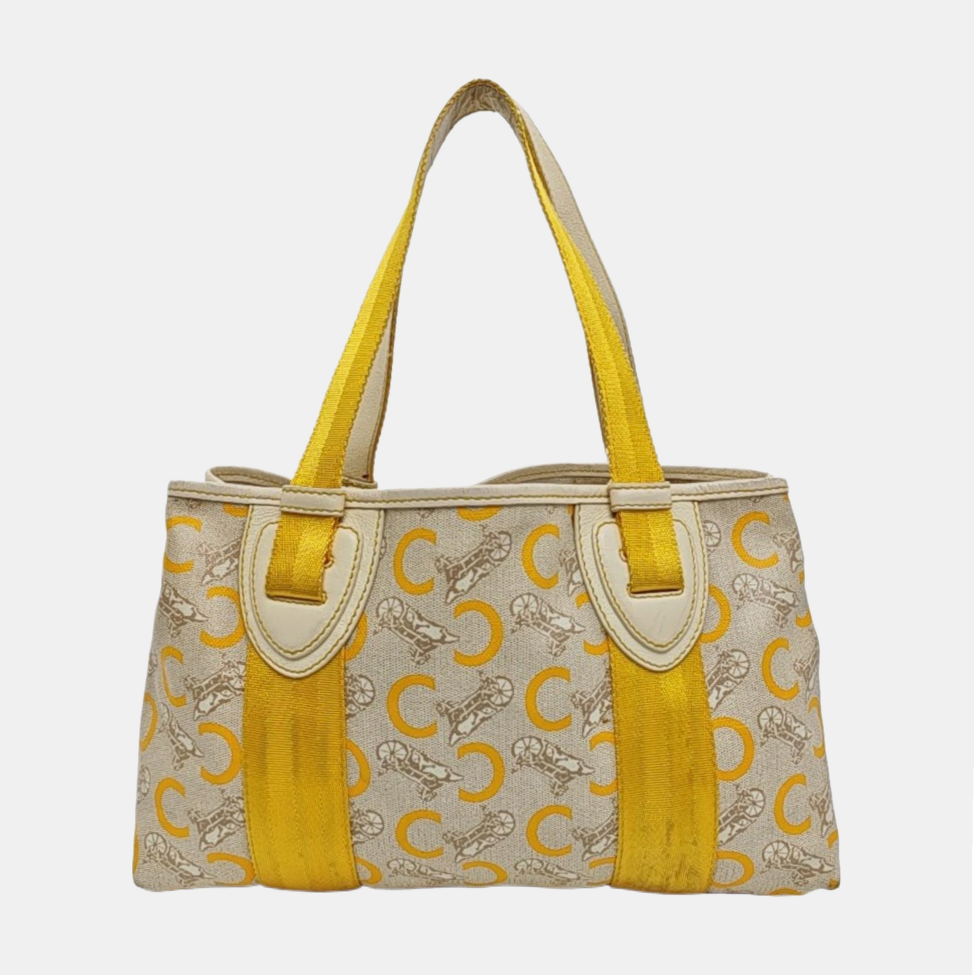 Coated Canvas Beige