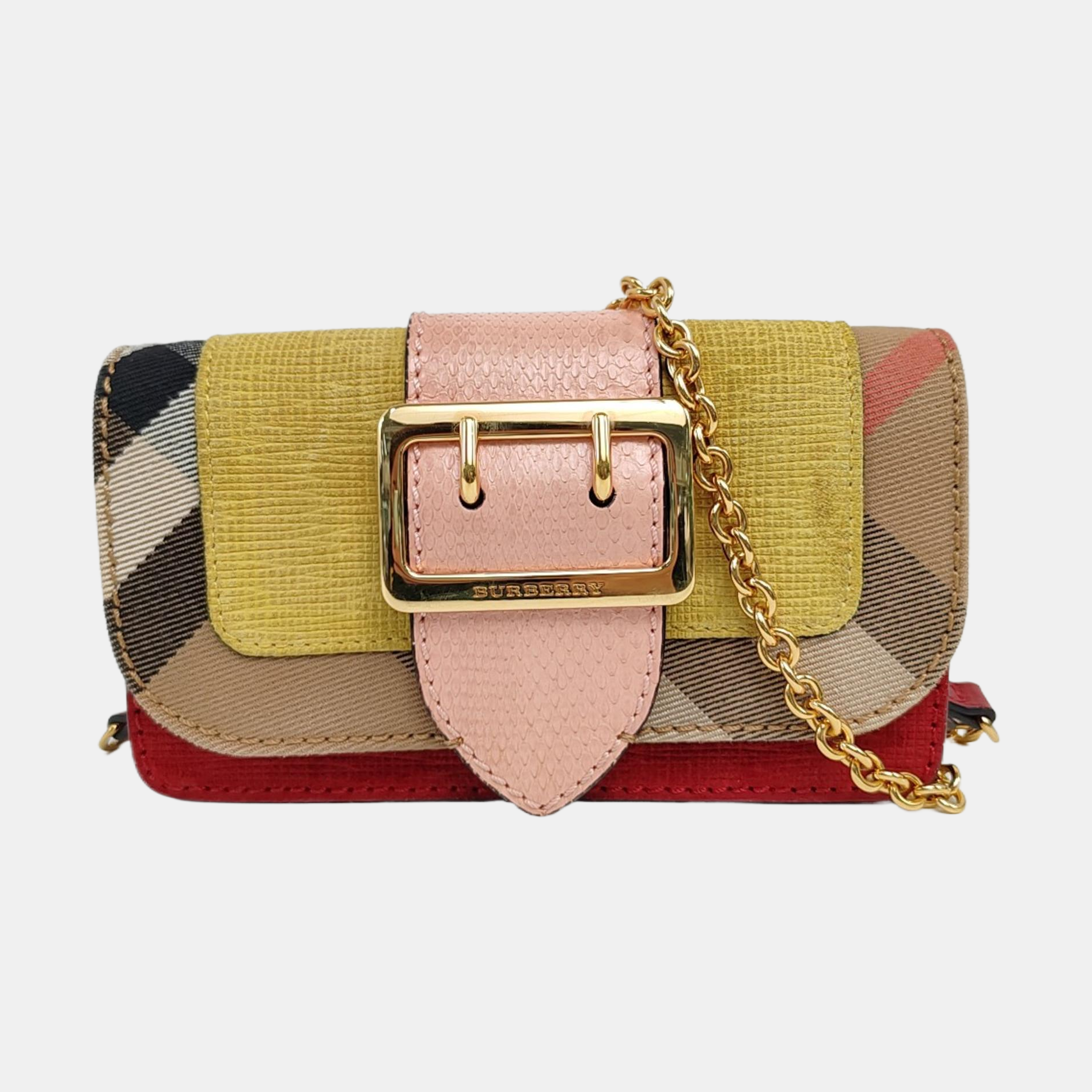 Buckle Calfskin Multicolor