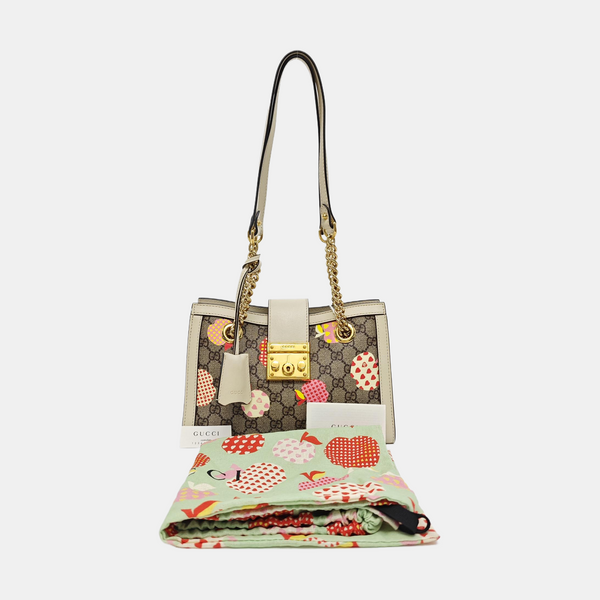 Padlock Small Monogram Coated Canvas Multicolor