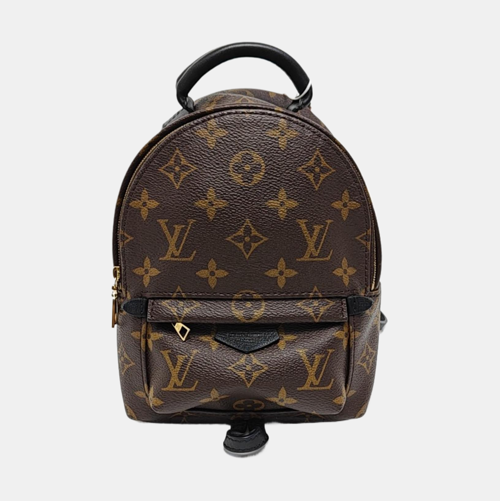 PALM SPRINGS Mini Monogram Coated Canvas Brown
