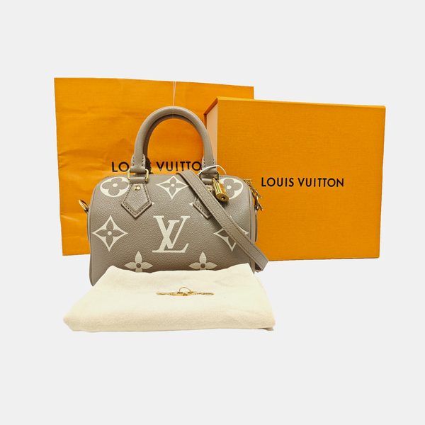 SPEEDY 20 Monogram Calfskin Gray