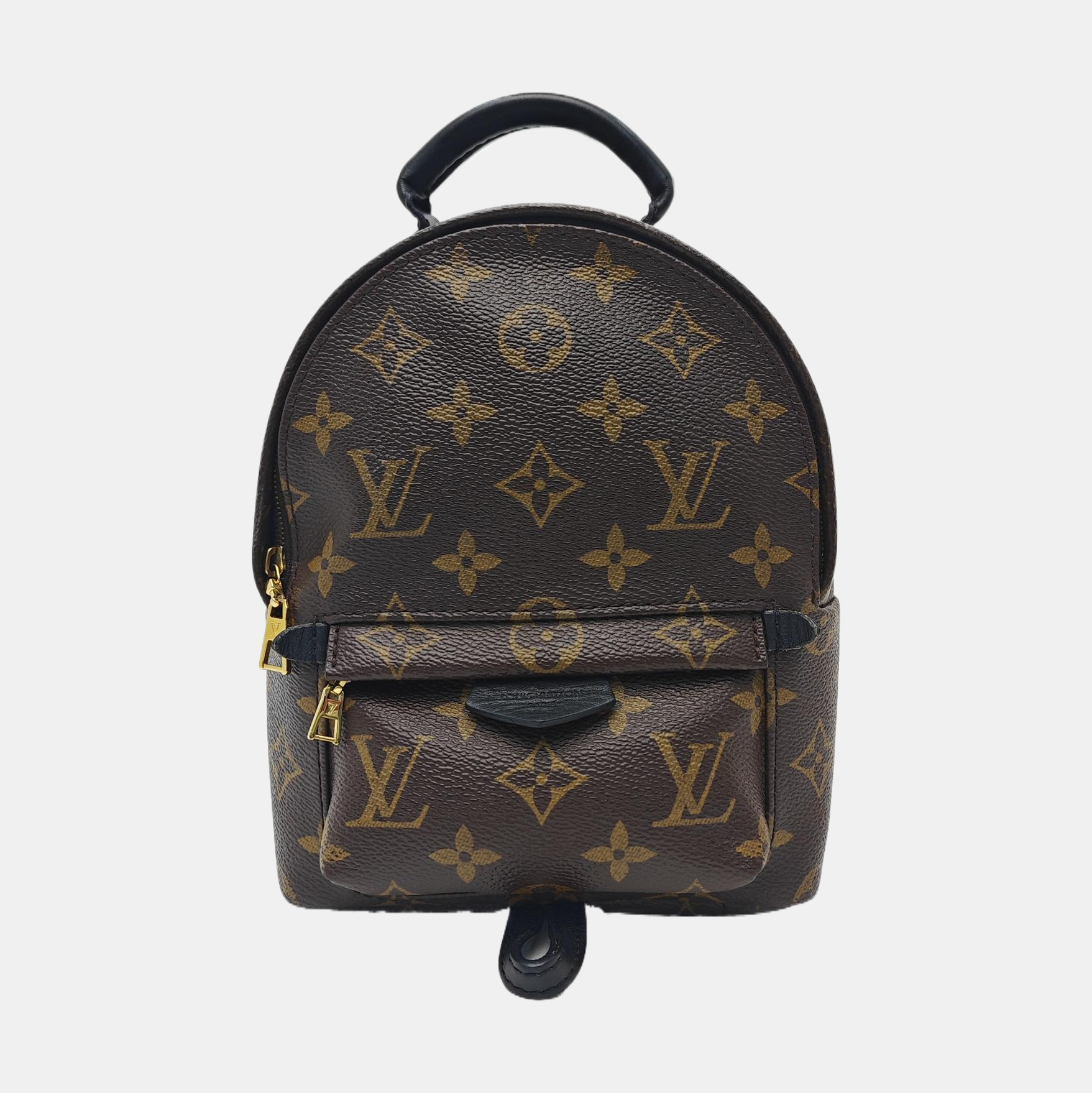 PALM SPRINGS Mini Monogram Coated Canvas Brown